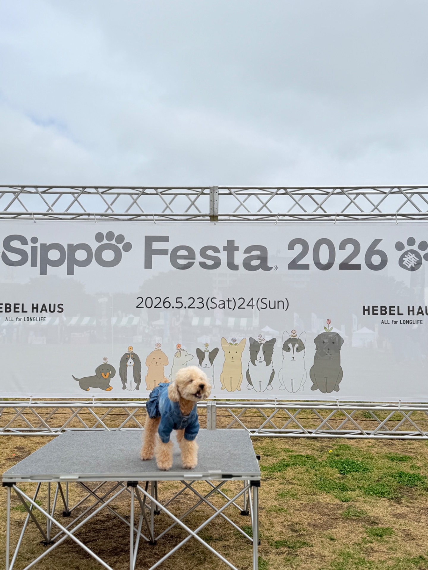 Sippo Festa 2026