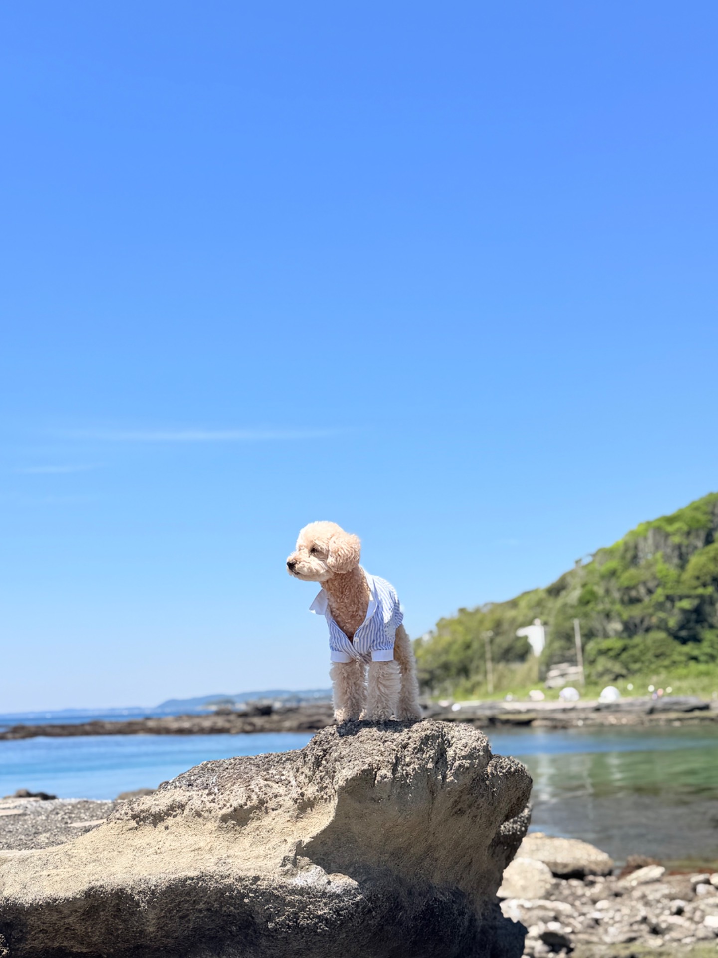 水辺（海、湖、川）の一覧へ