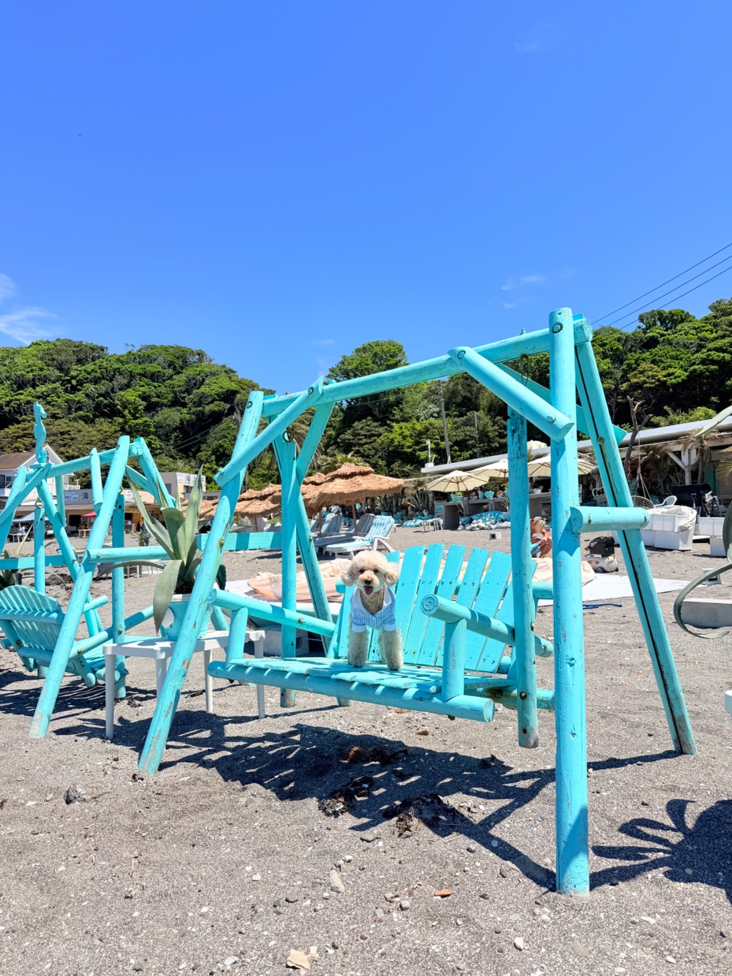 その他の一覧へ