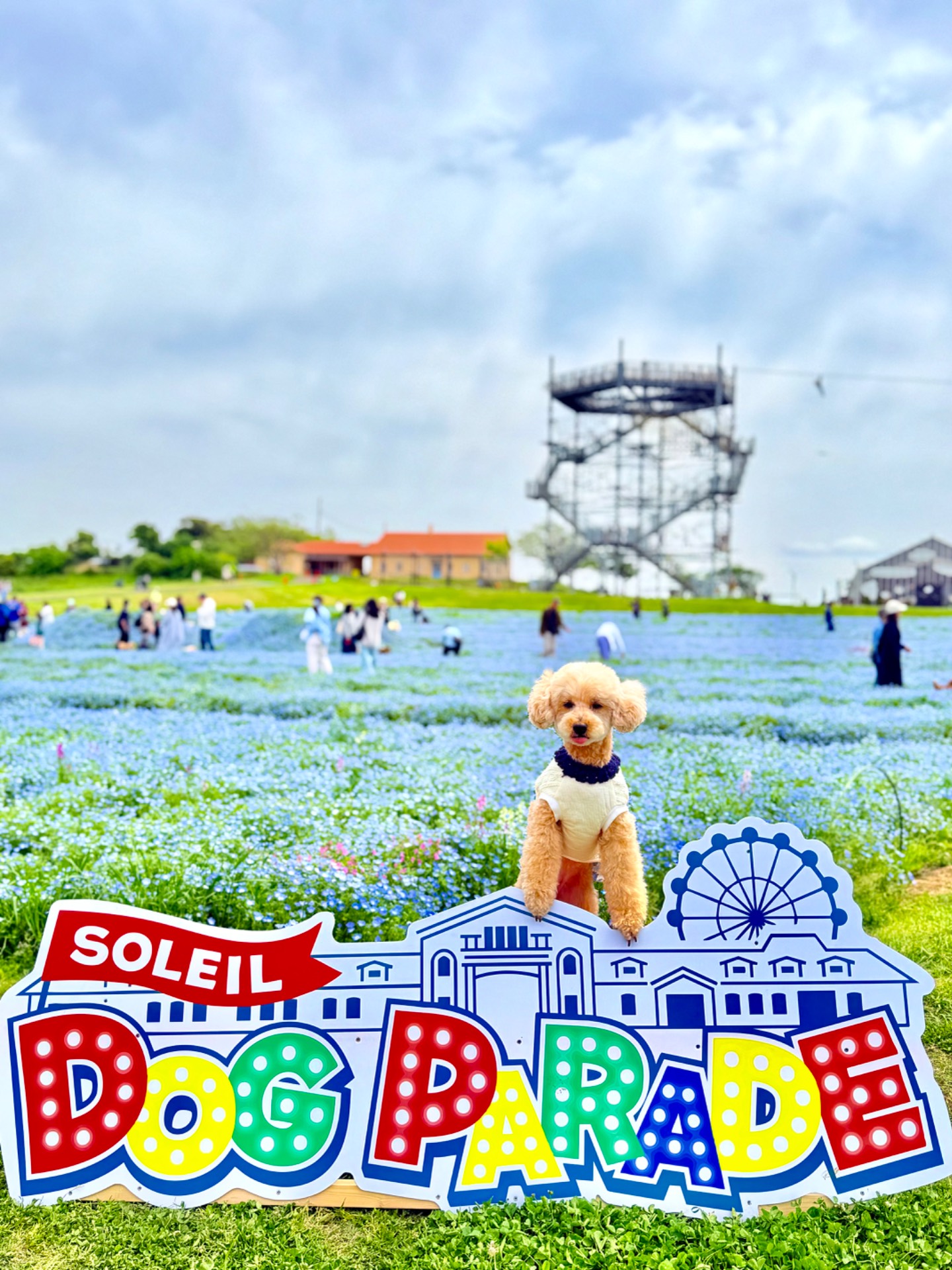 SOLEIL DOG PARADE 2026