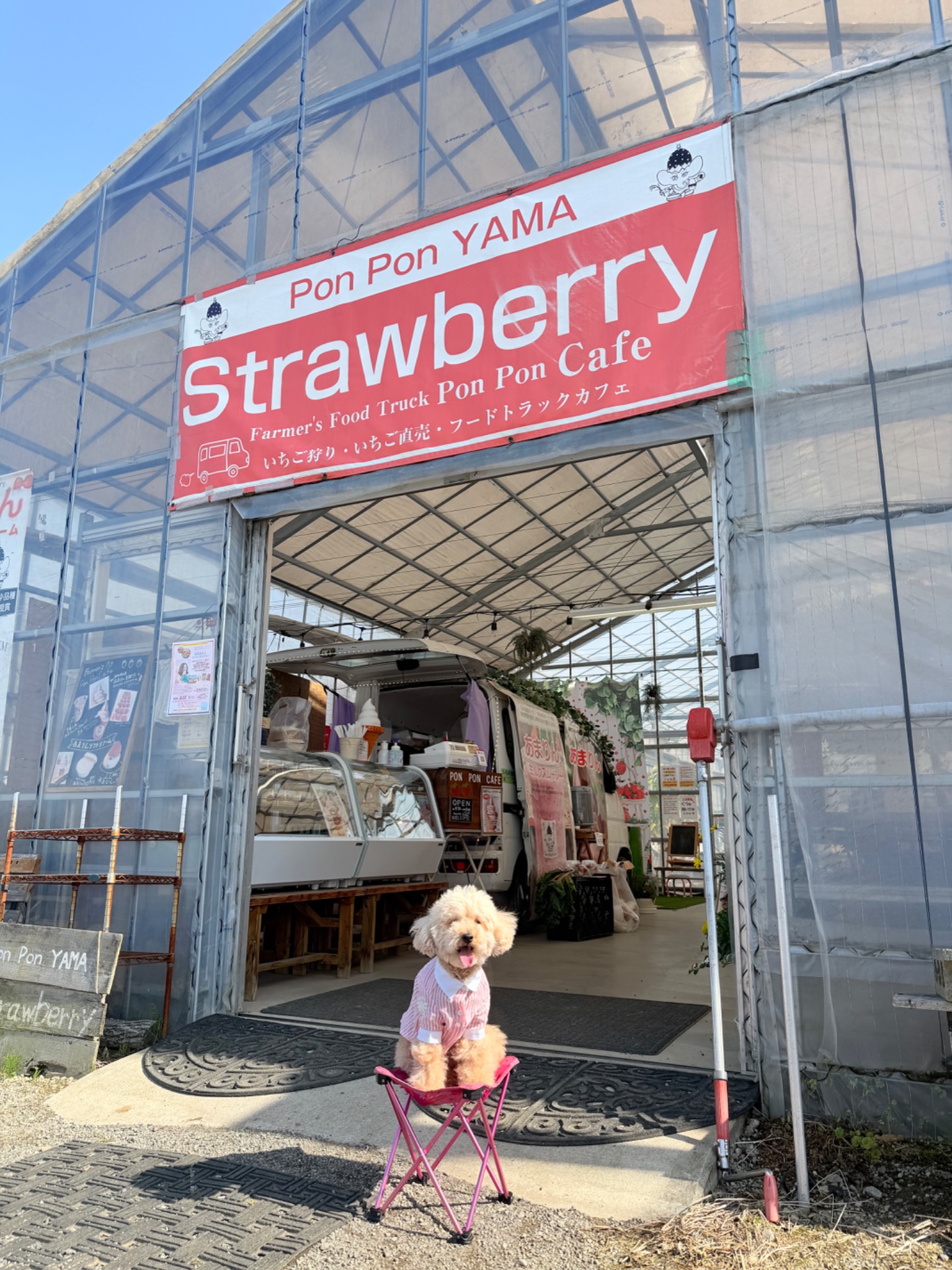 PonPon YAMA Strawberry