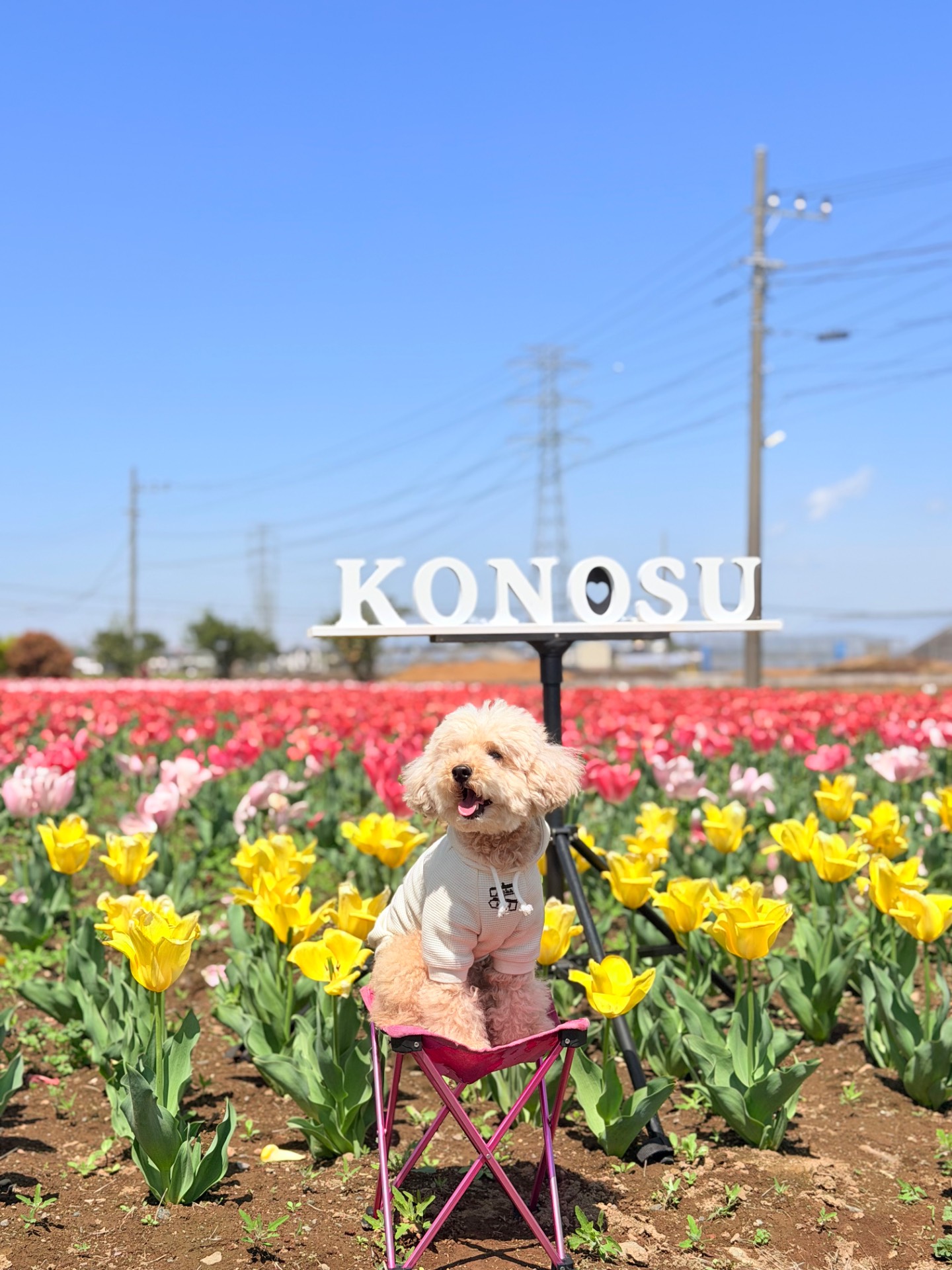 公園の一覧へ
