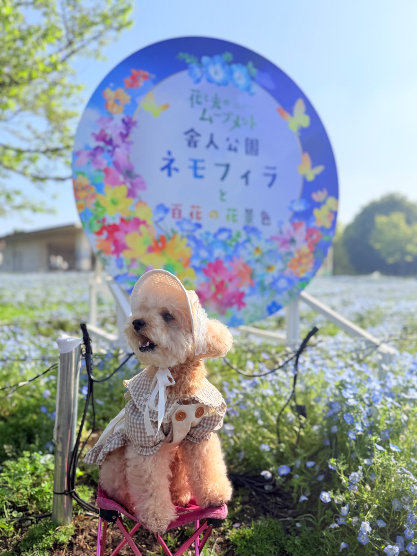 イベントの一覧へ