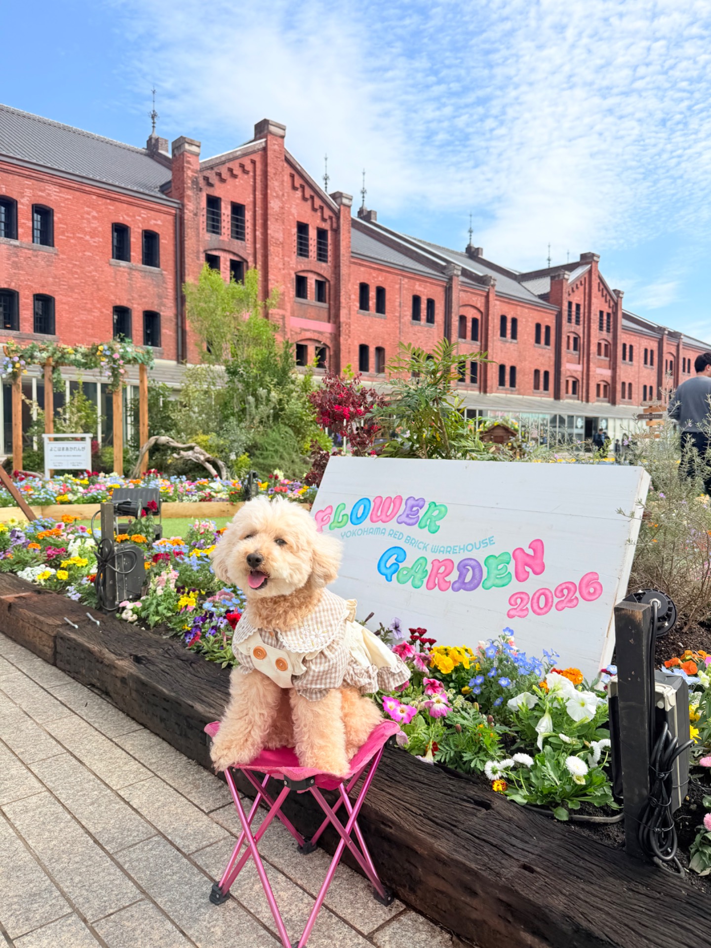FLOWER GARDEN 2026