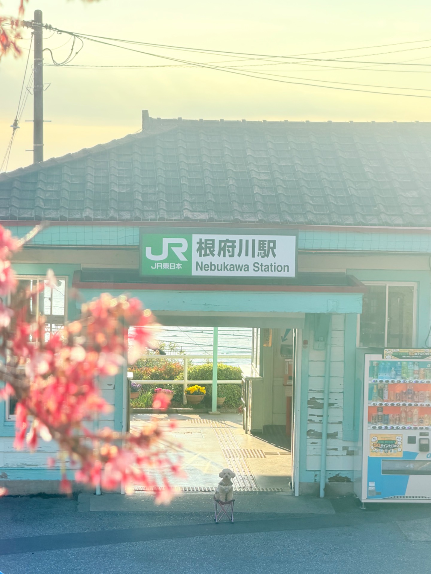 観光地の一覧へ