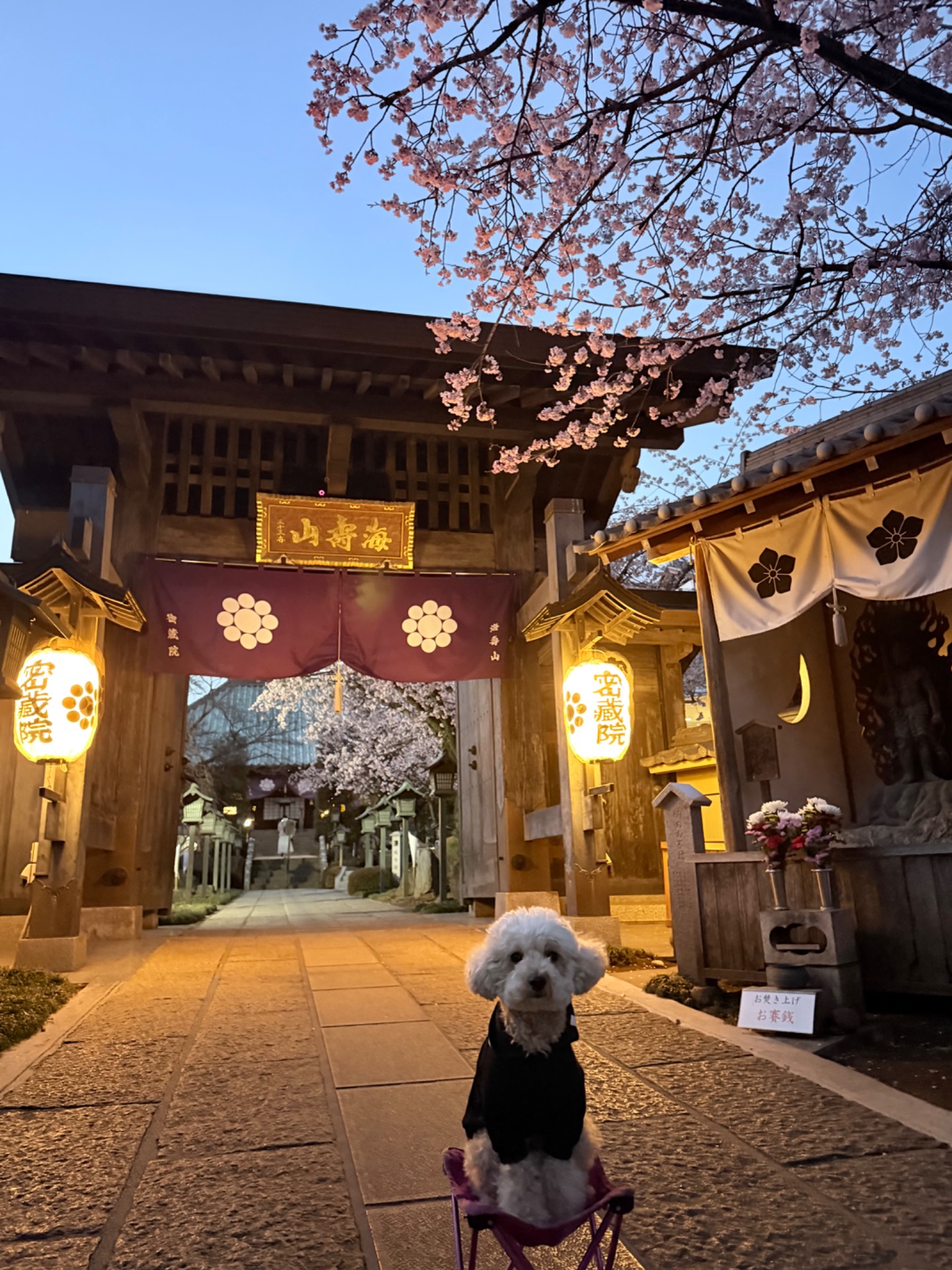 神社・仏閣の一覧へ