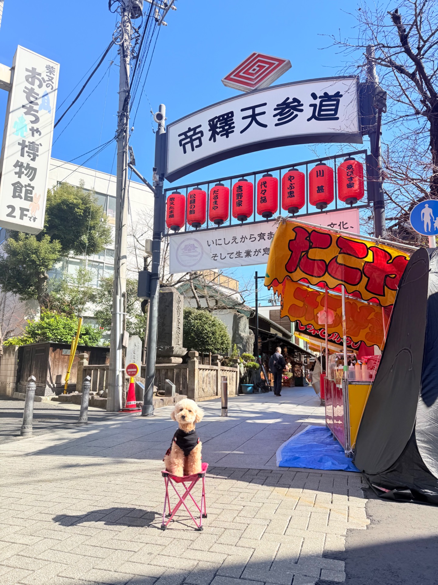 観光地の一覧へ