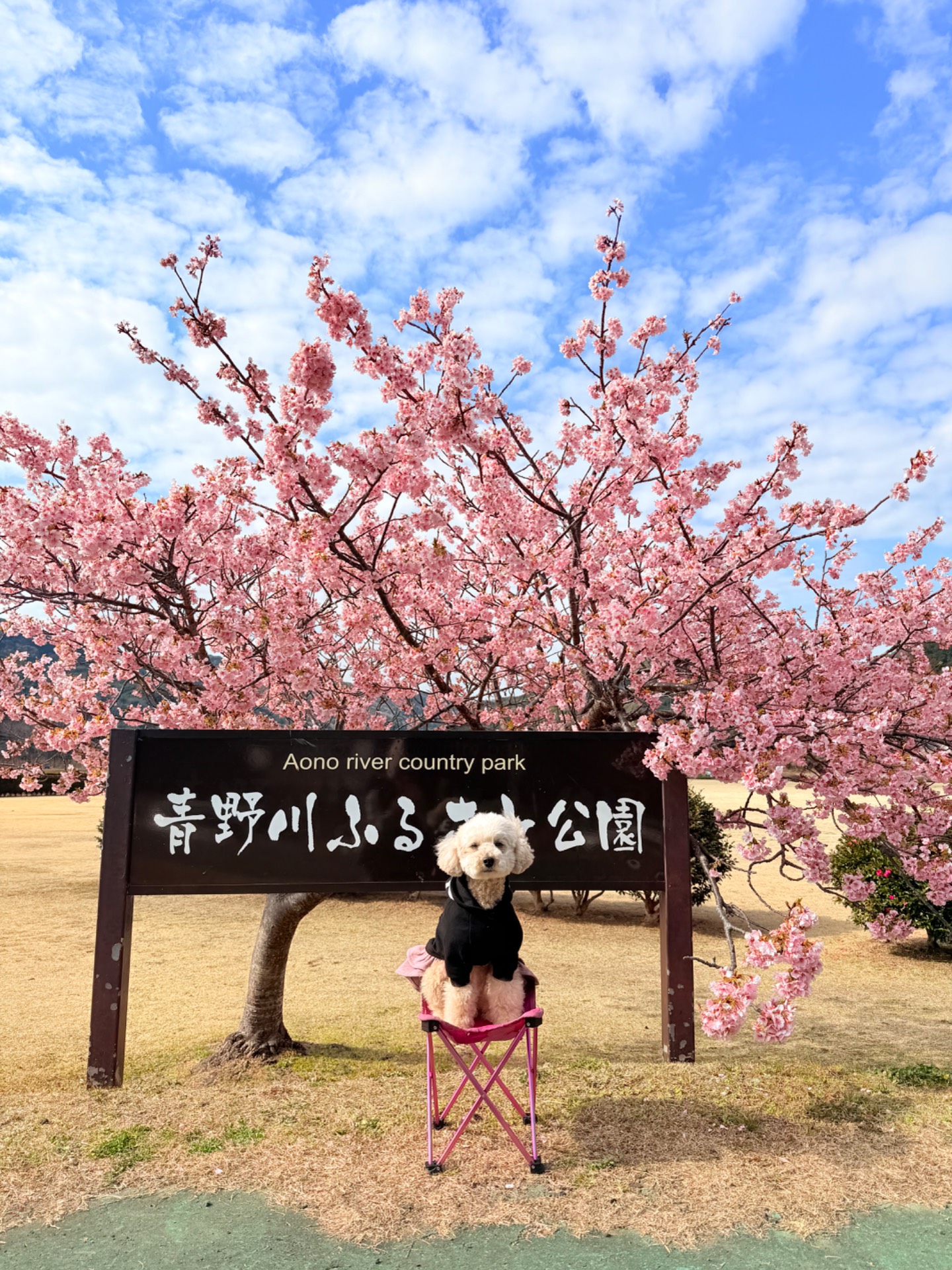 公園の一覧へ