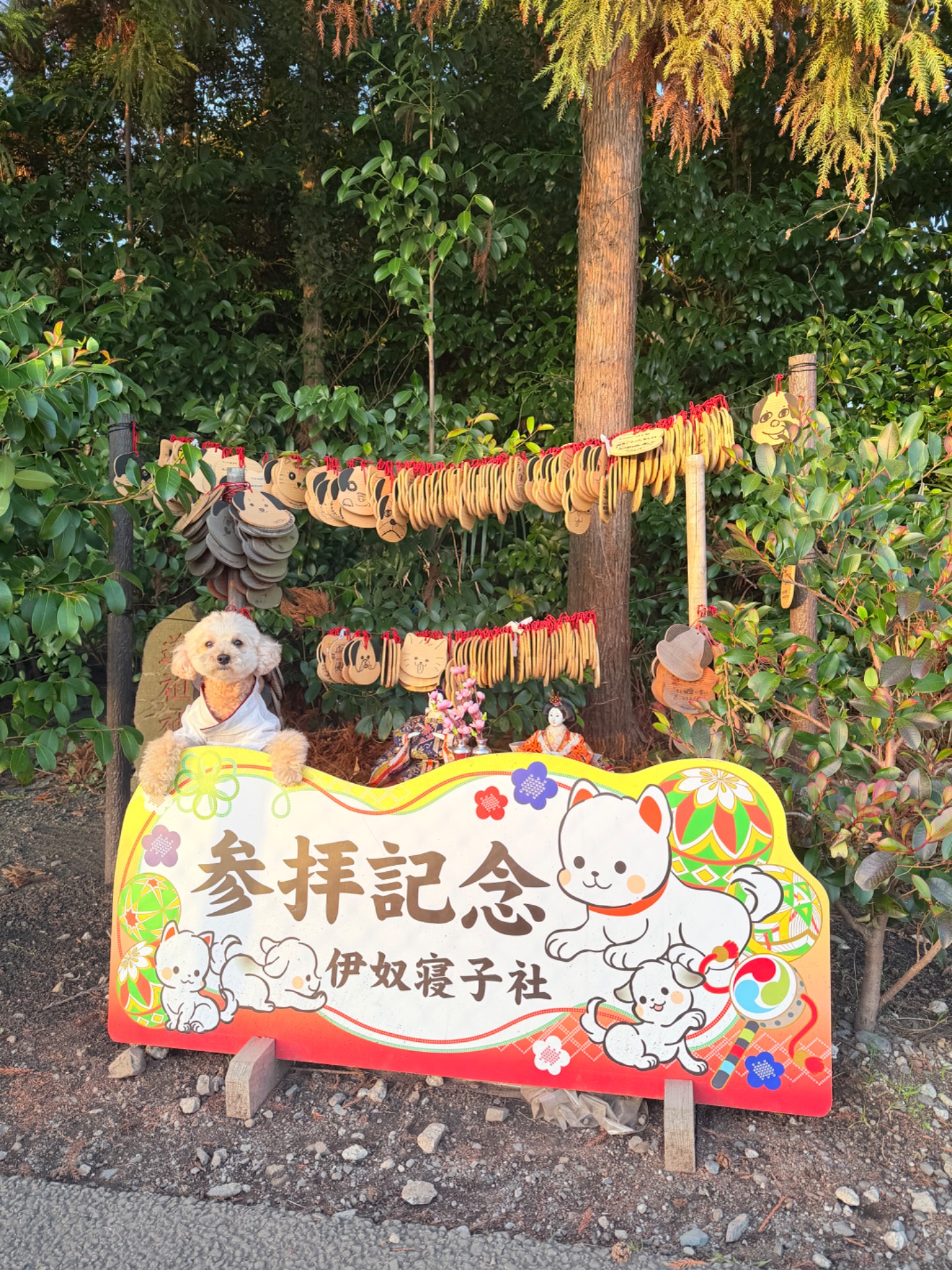伊奴寝子社
