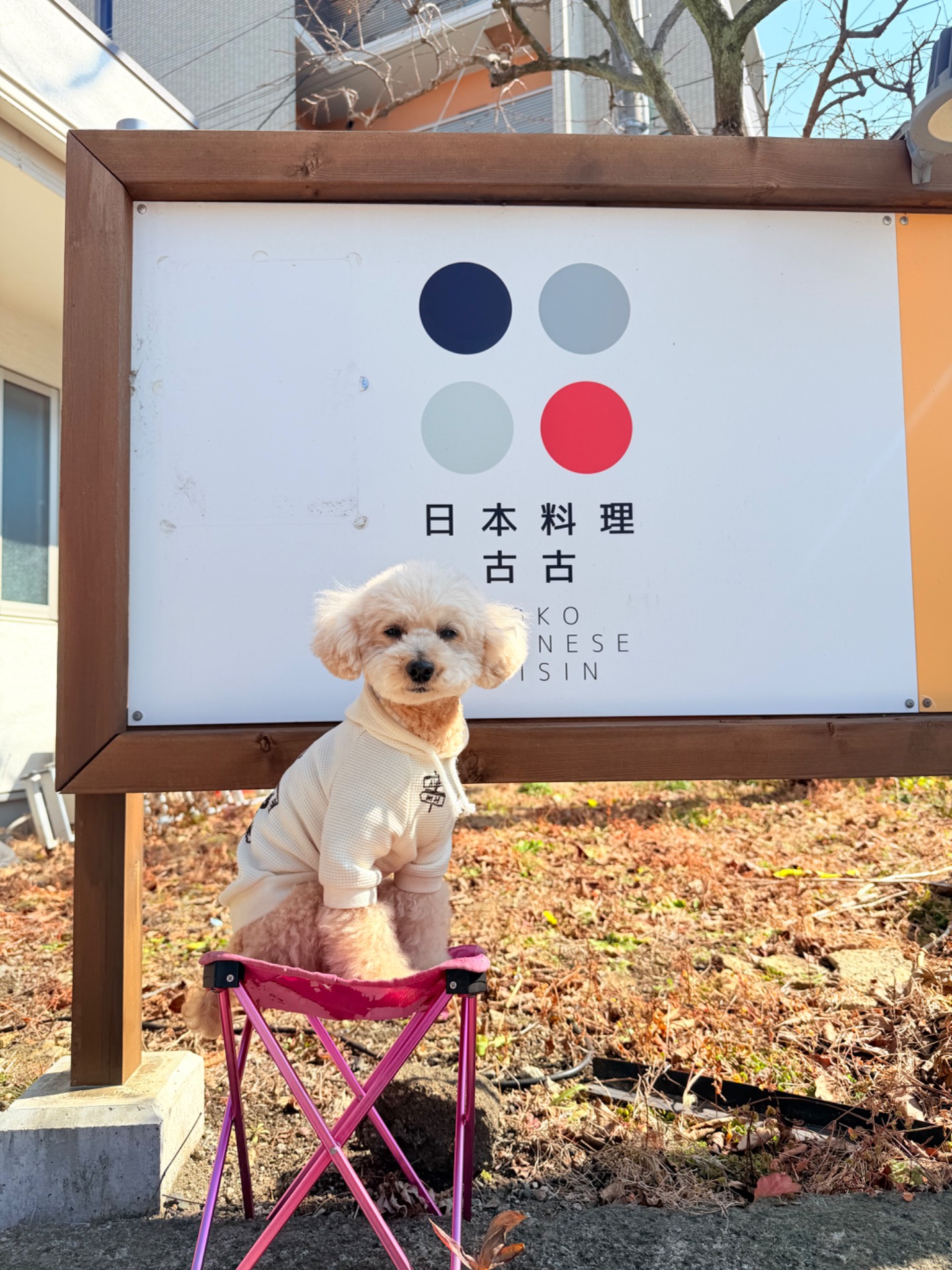 日本料理 古古