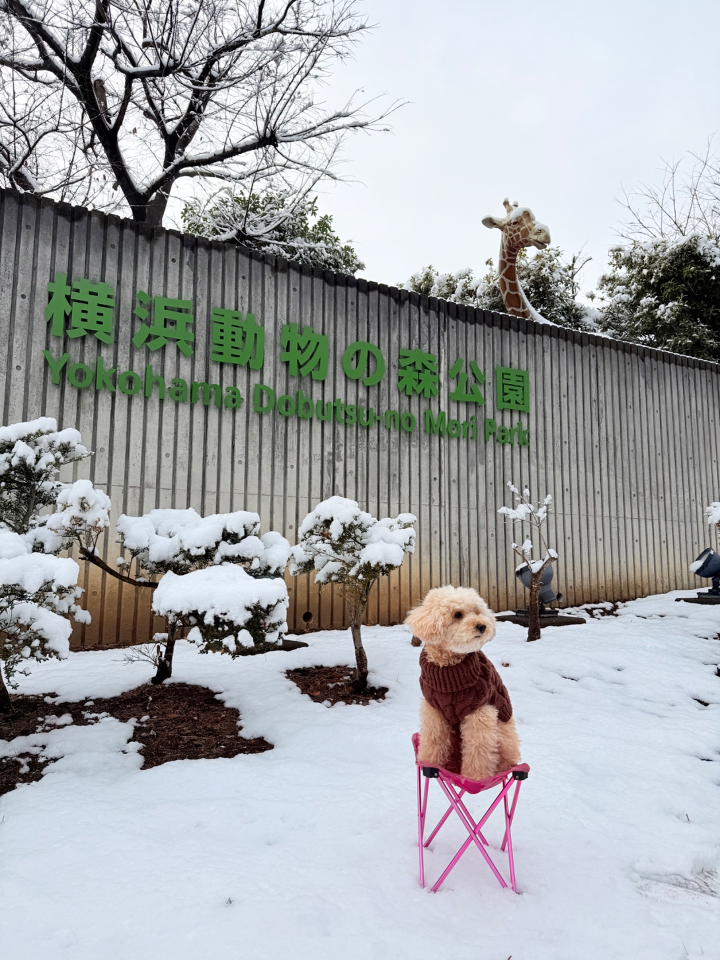 横浜動物の森公園