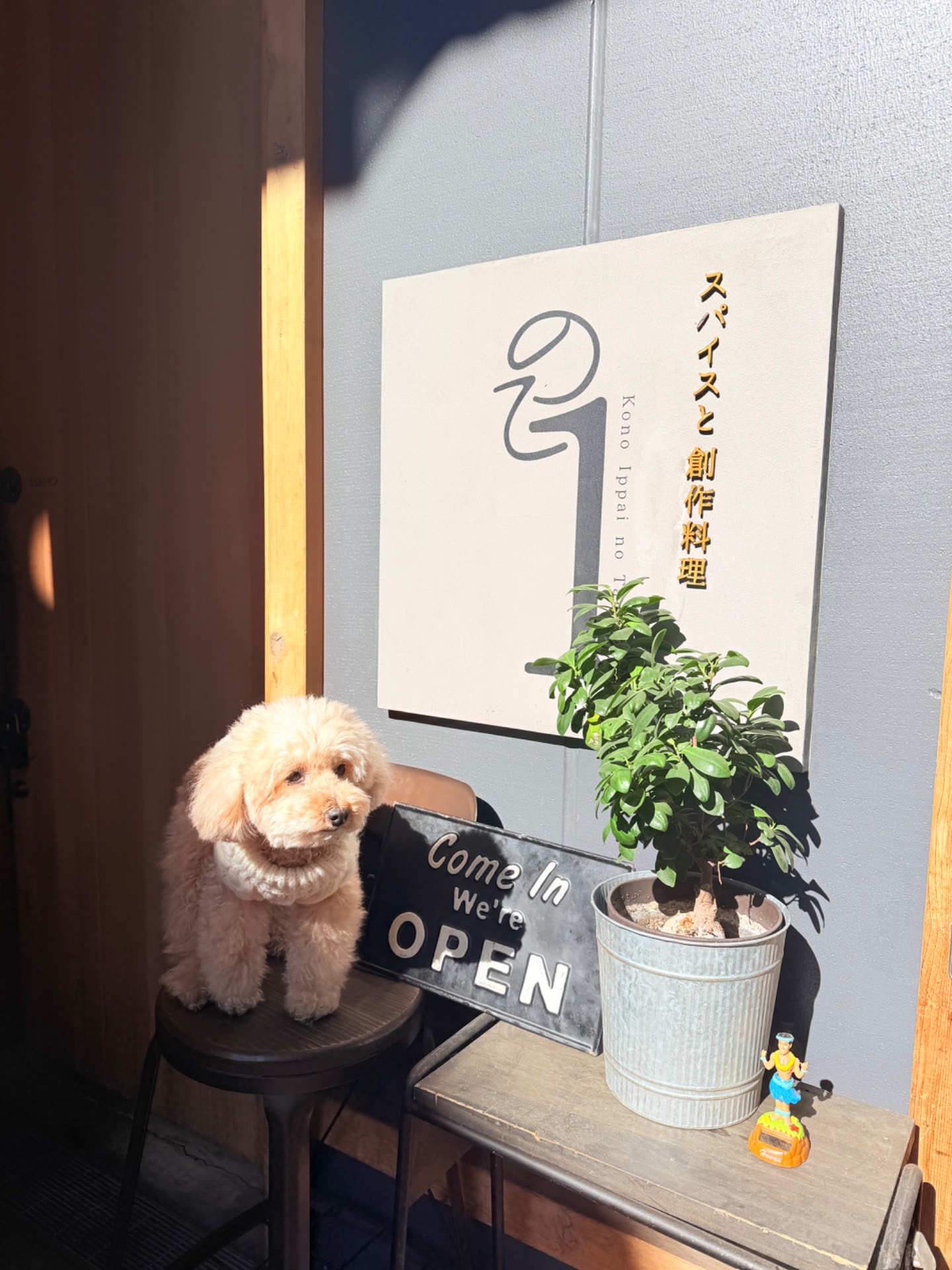 スパイスと創作料理、この一杯のために