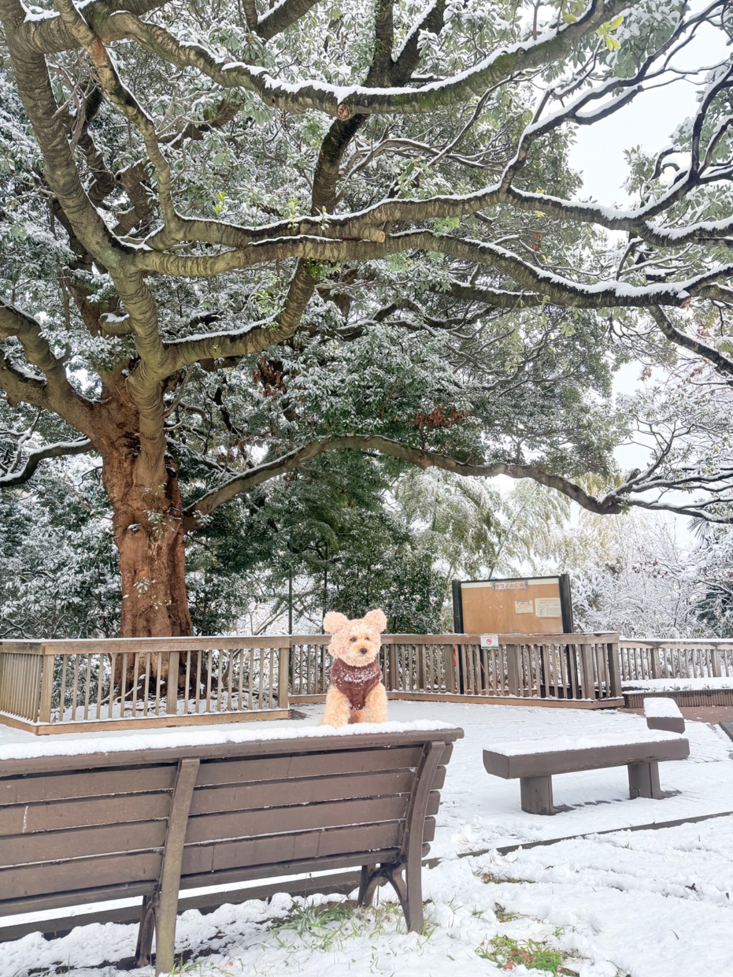保土ヶ谷公園