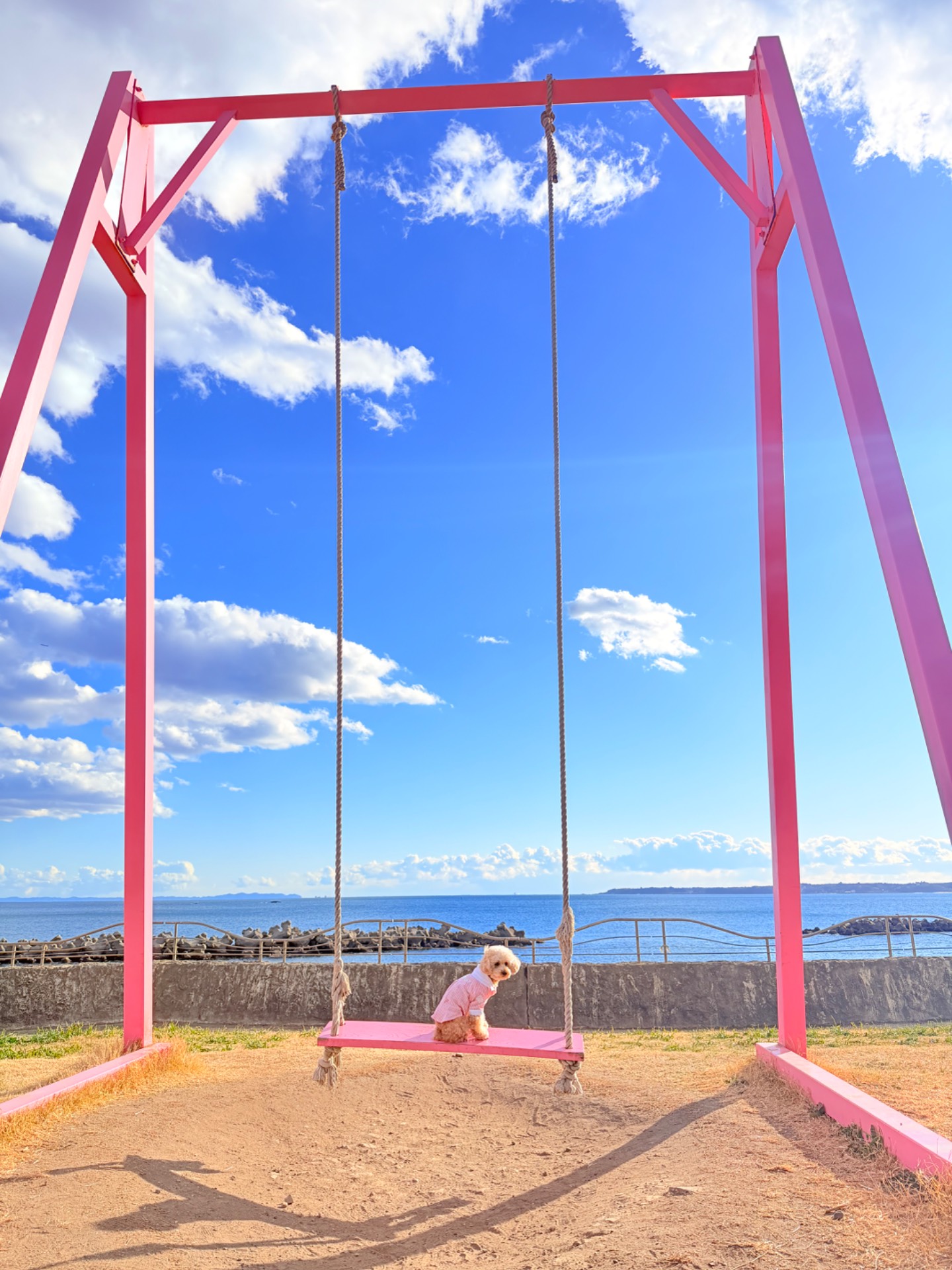 野比海岸