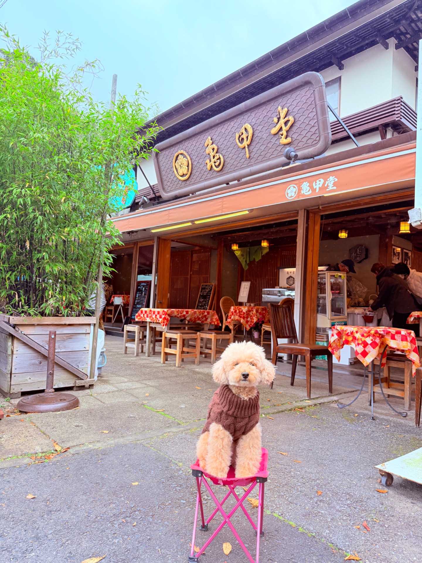 亀甲堂