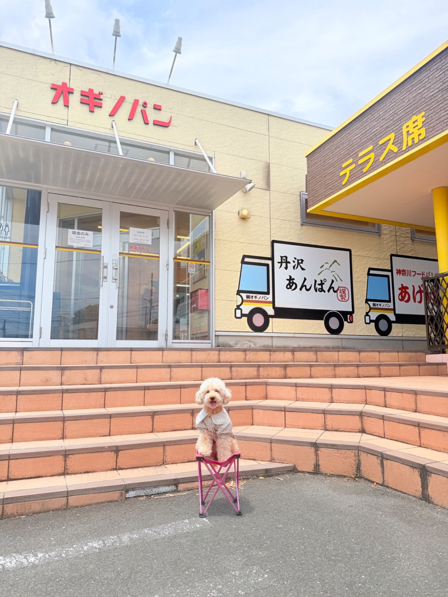 飲食店・カフェの一覧へ