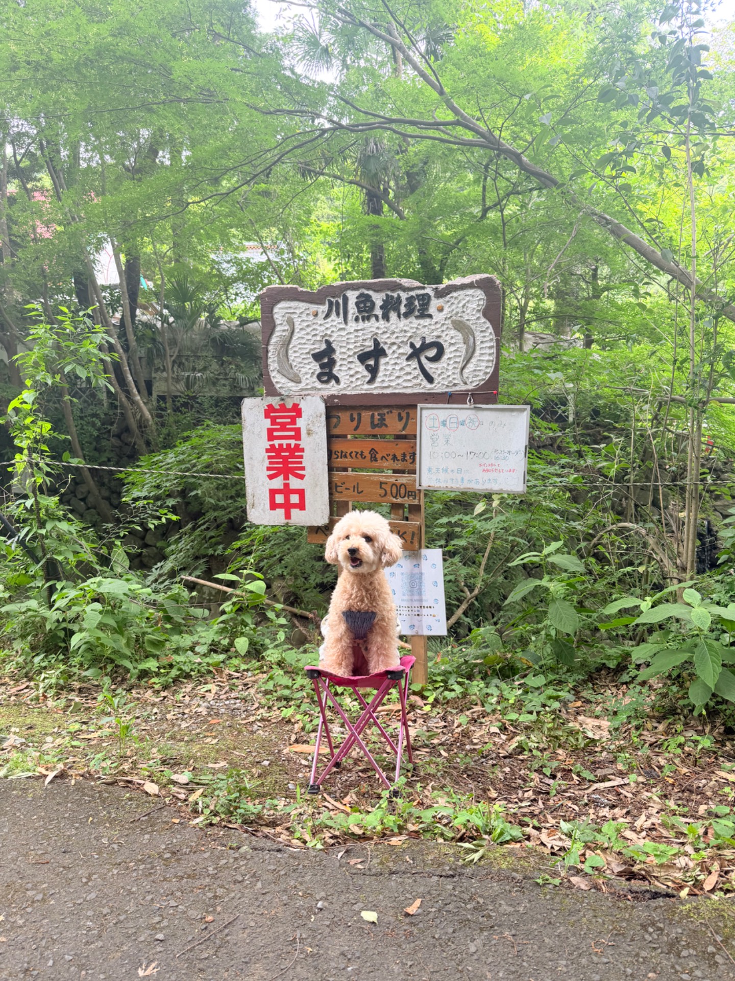 飲食店・カフェの一覧へ