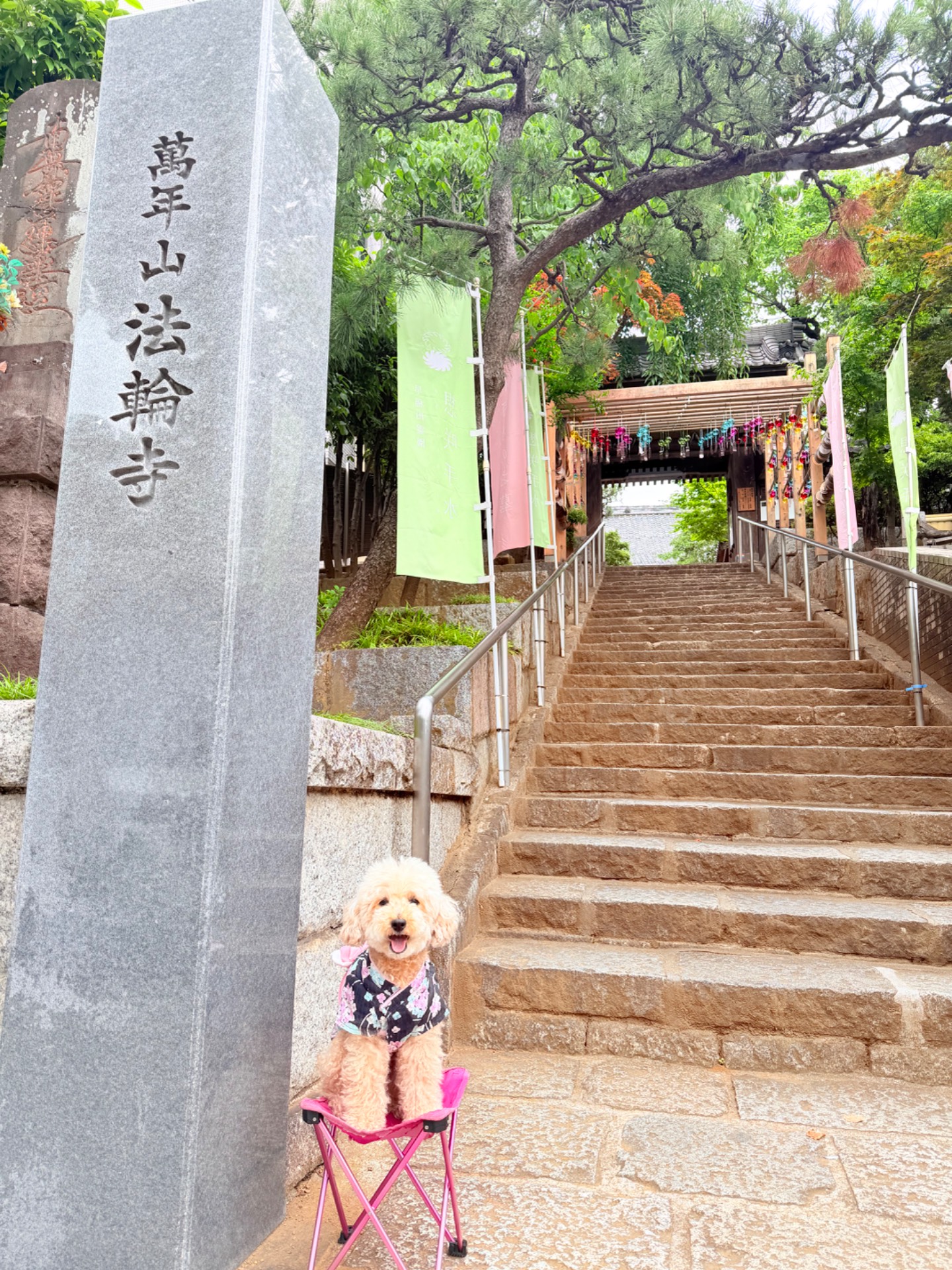 法輪寺