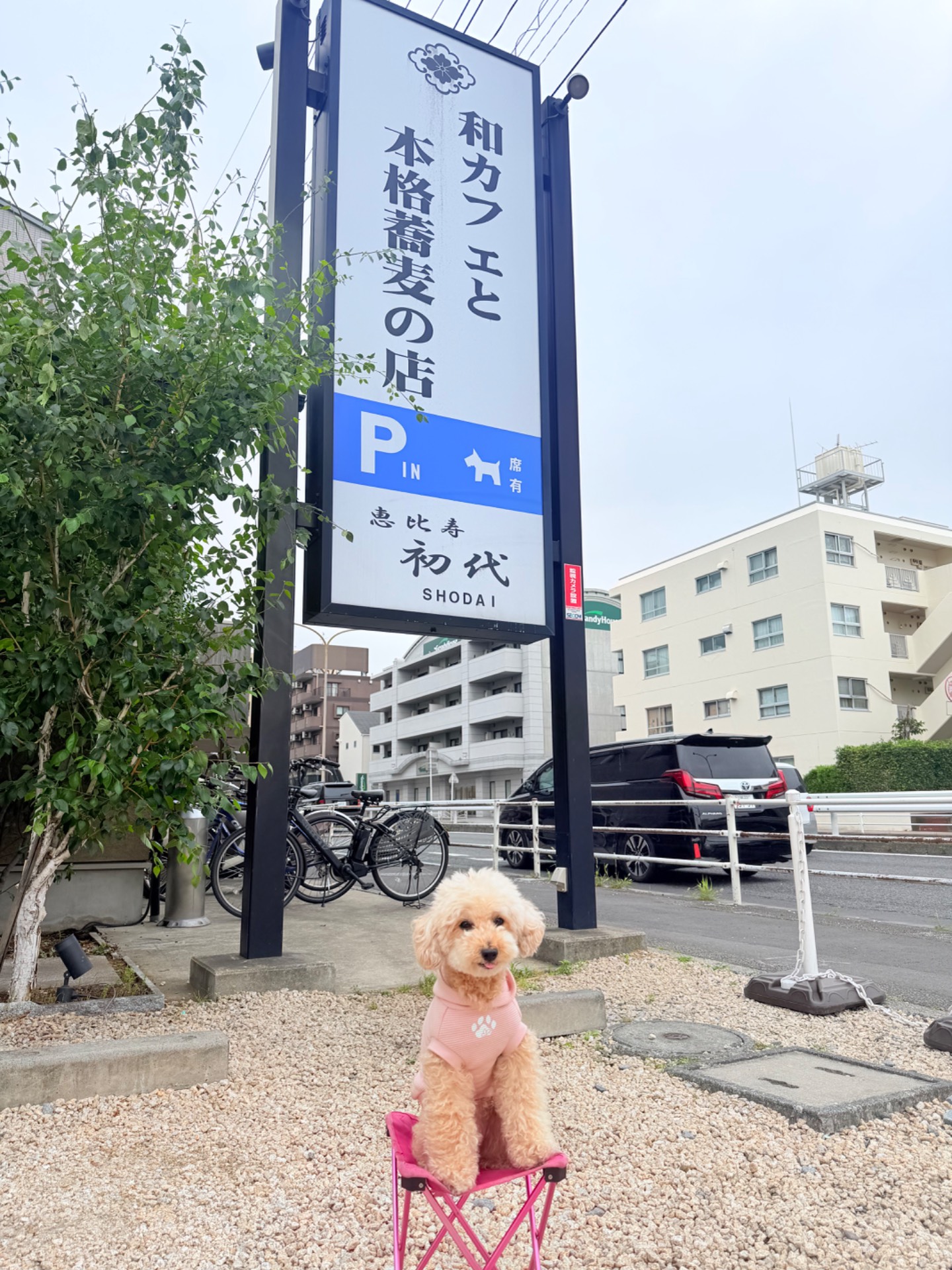 和カフェと本格蕎麦の店 初代