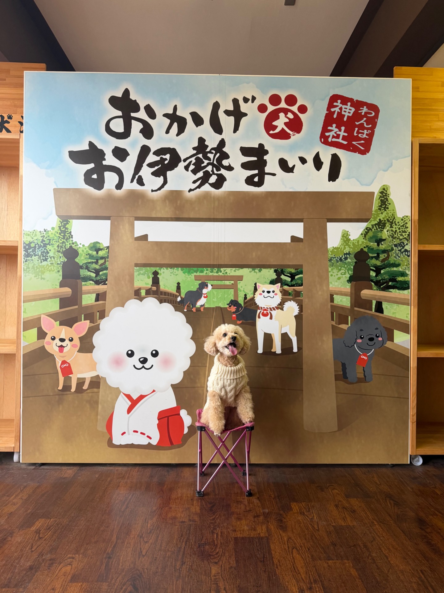 わんぱく神社 犬泊