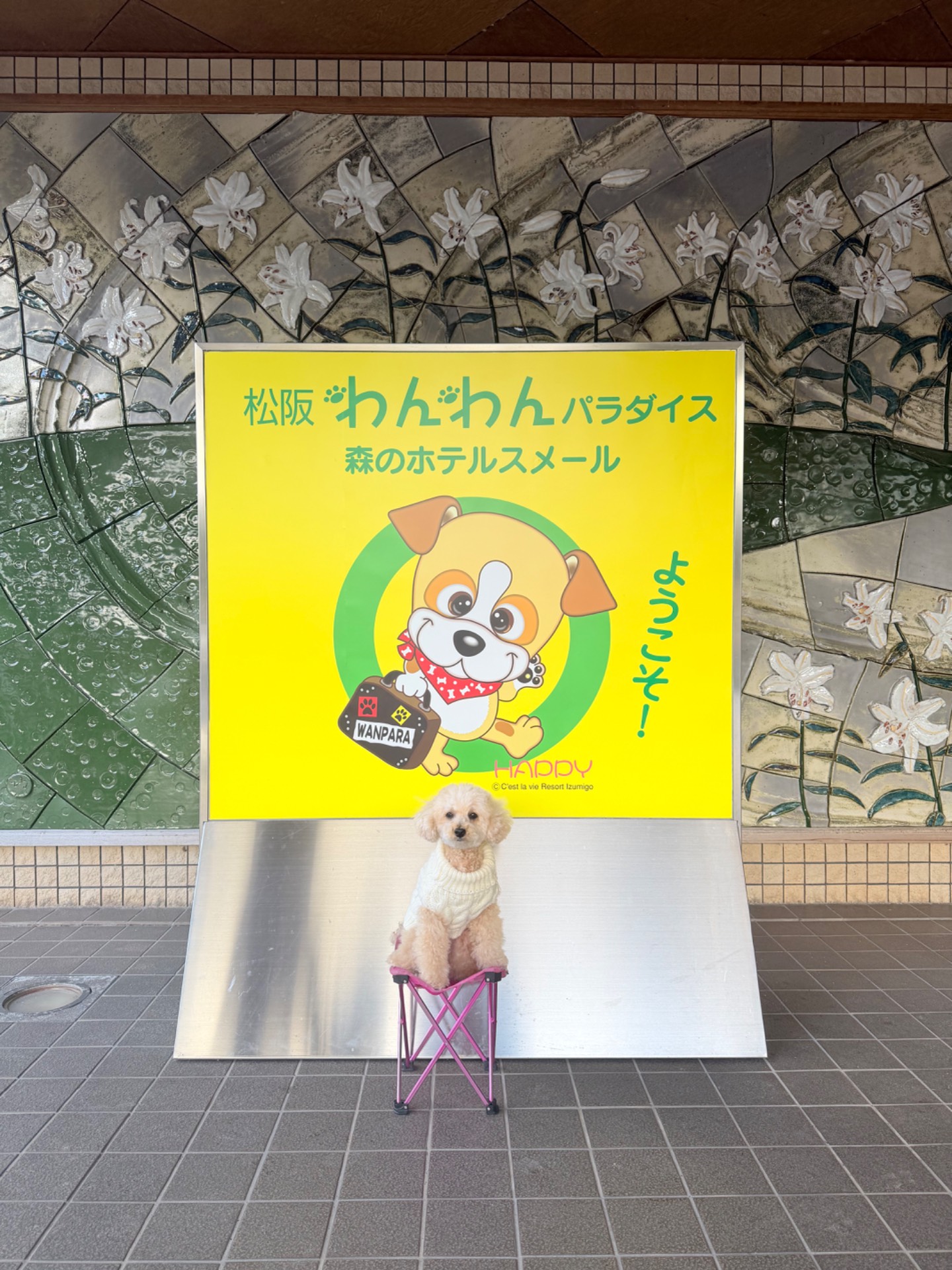 松坂わんわんパラダイス