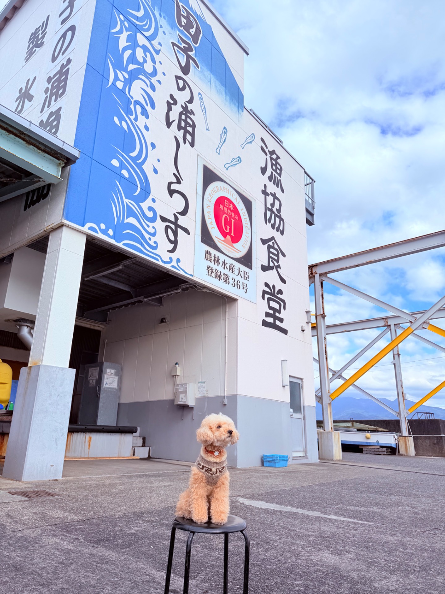 田子の浦漁協食堂