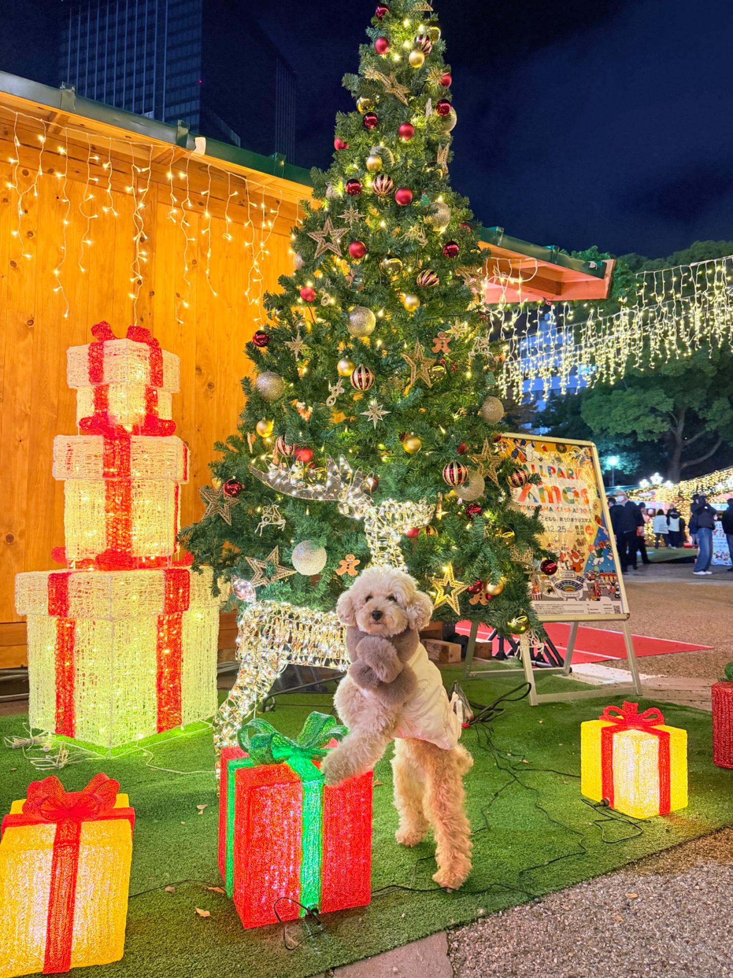 BALLPARKXmasYOKOHAMA