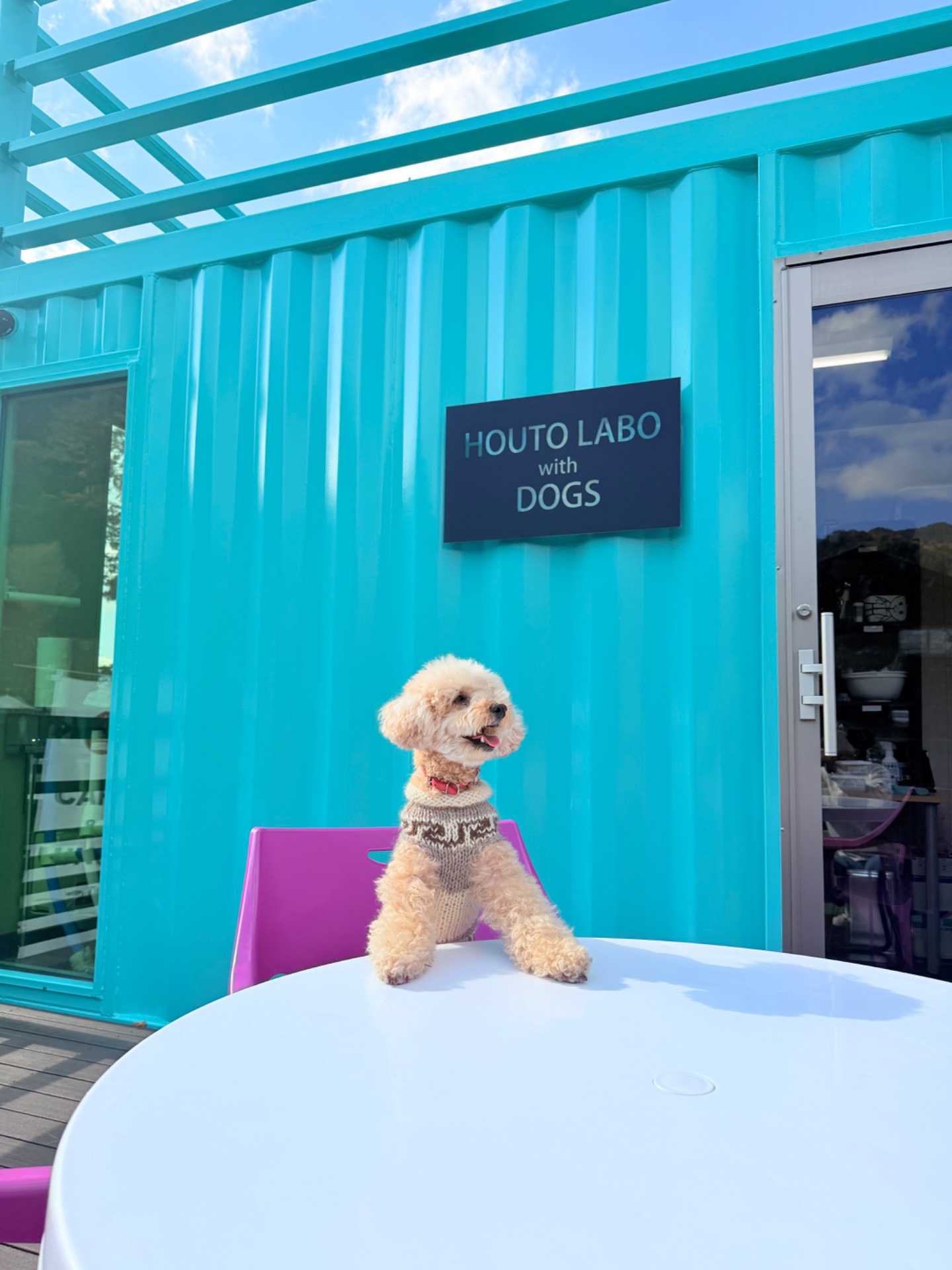 HOUTO LABO with DOGS