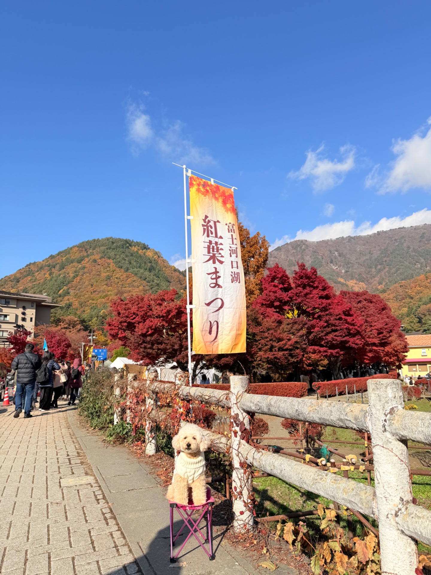富士河口湖紅葉まつり