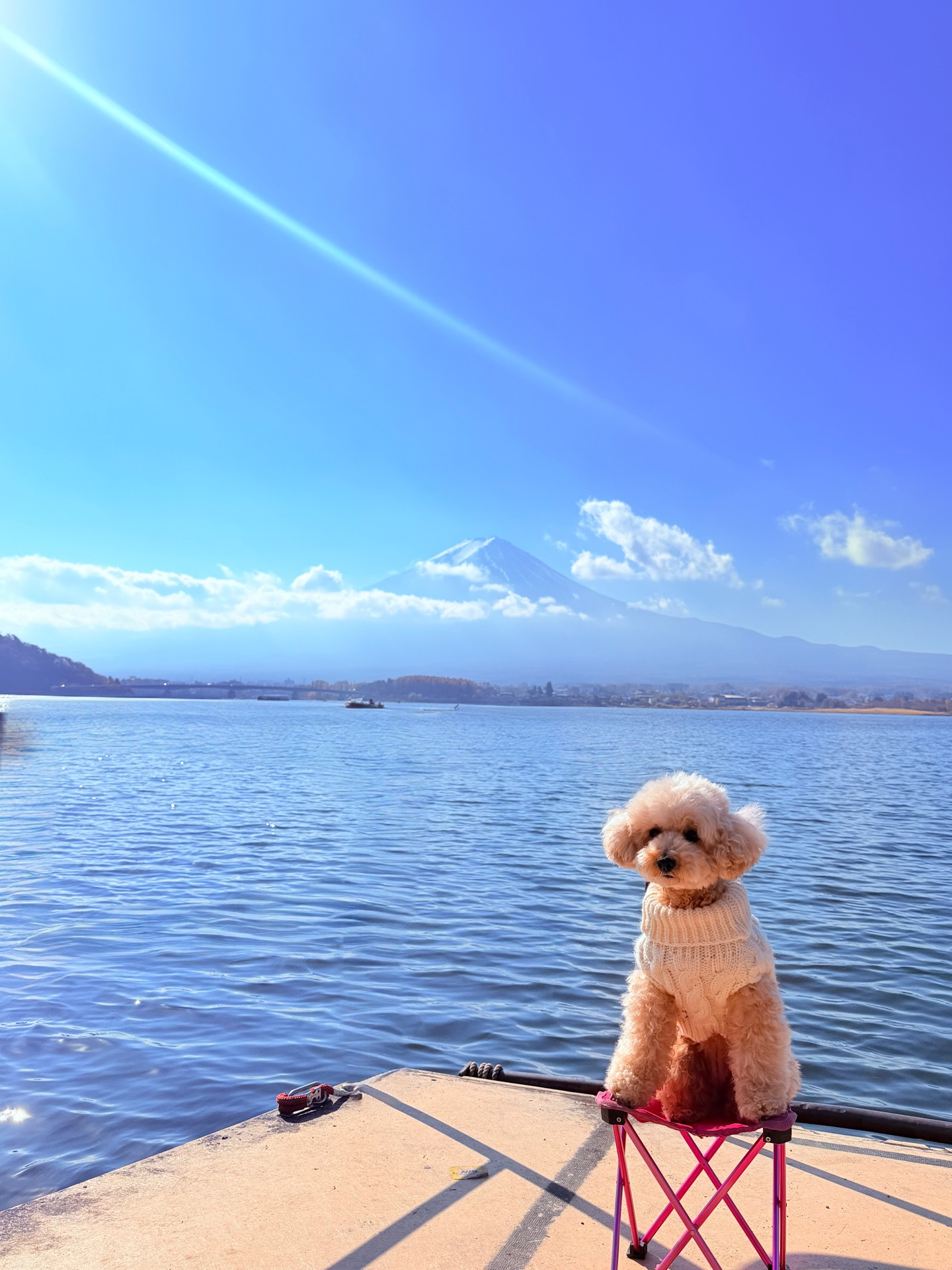 河口湖湖畔
