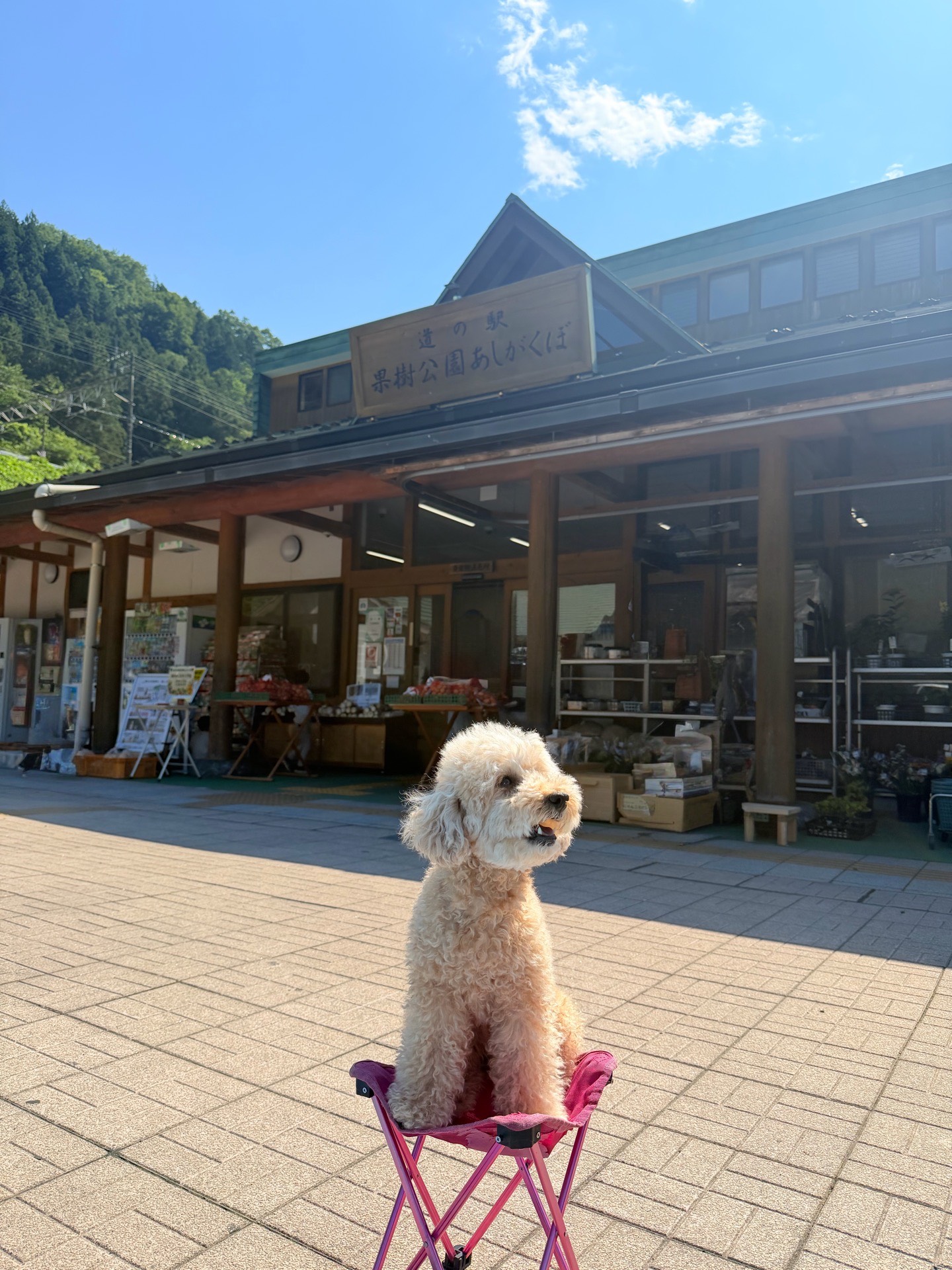 道の駅の一覧へ