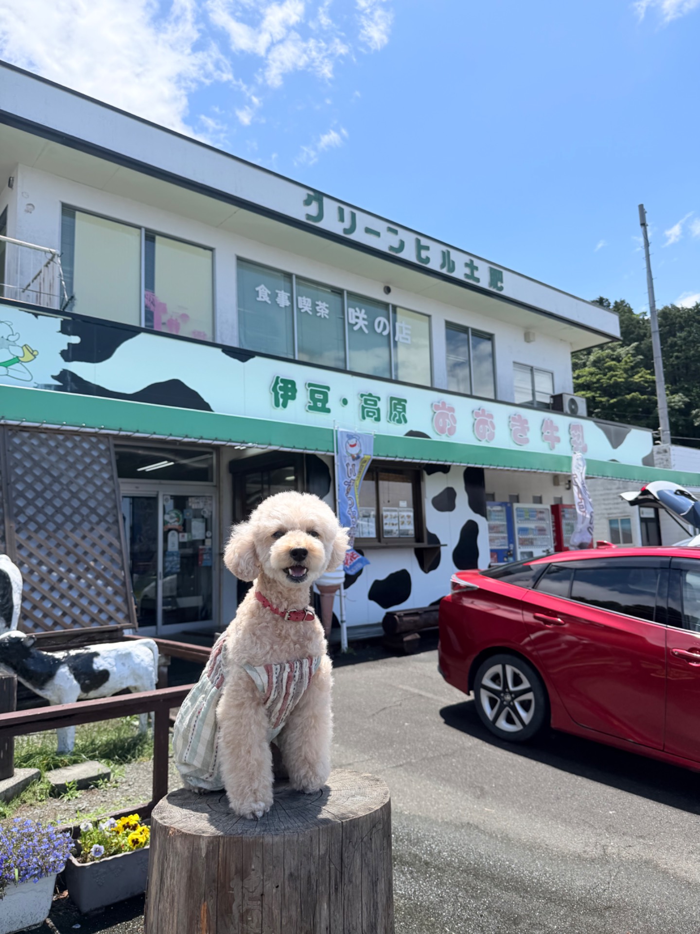グリーンヒル土肥 