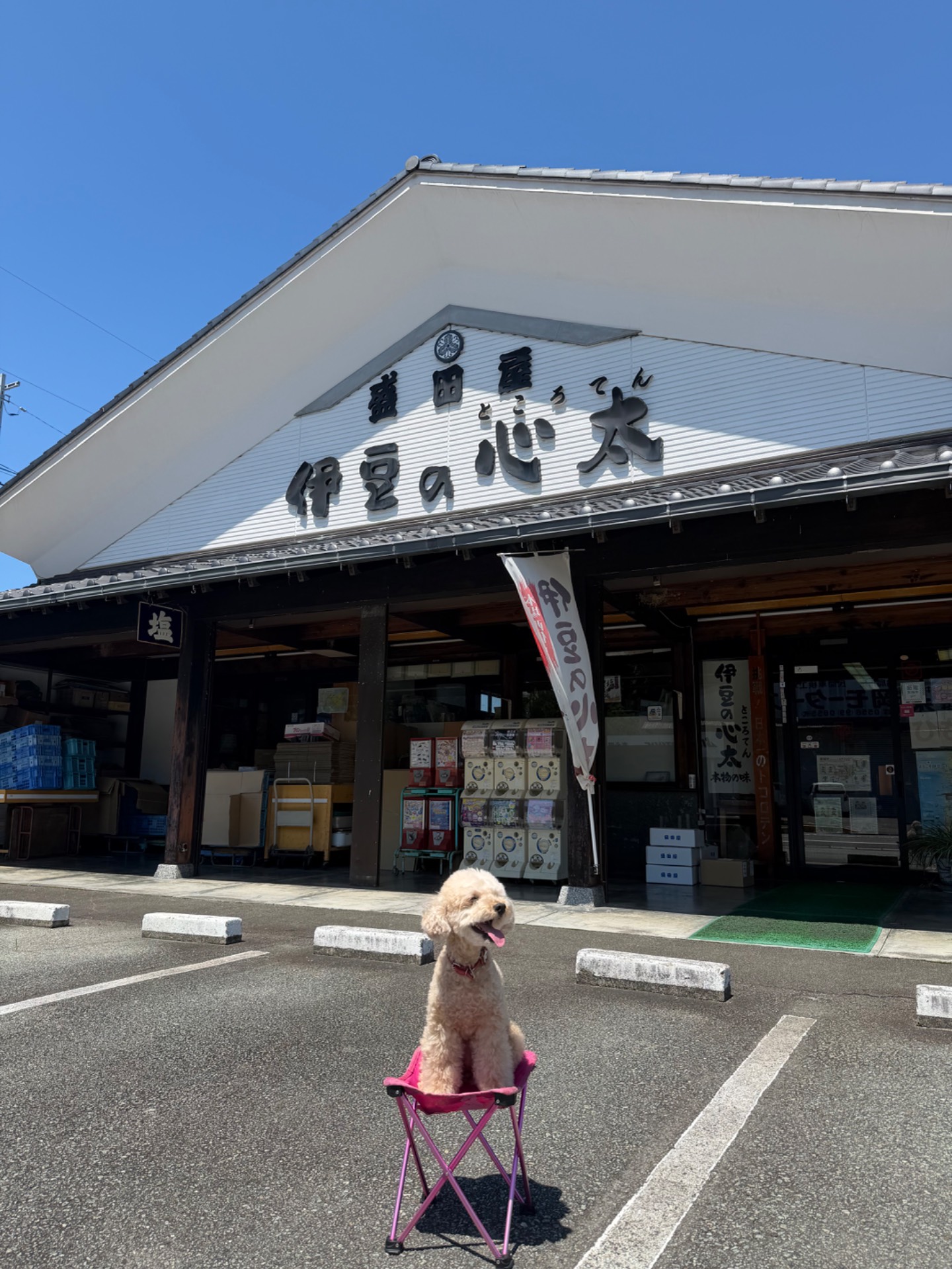飲食店・カフェの一覧へ