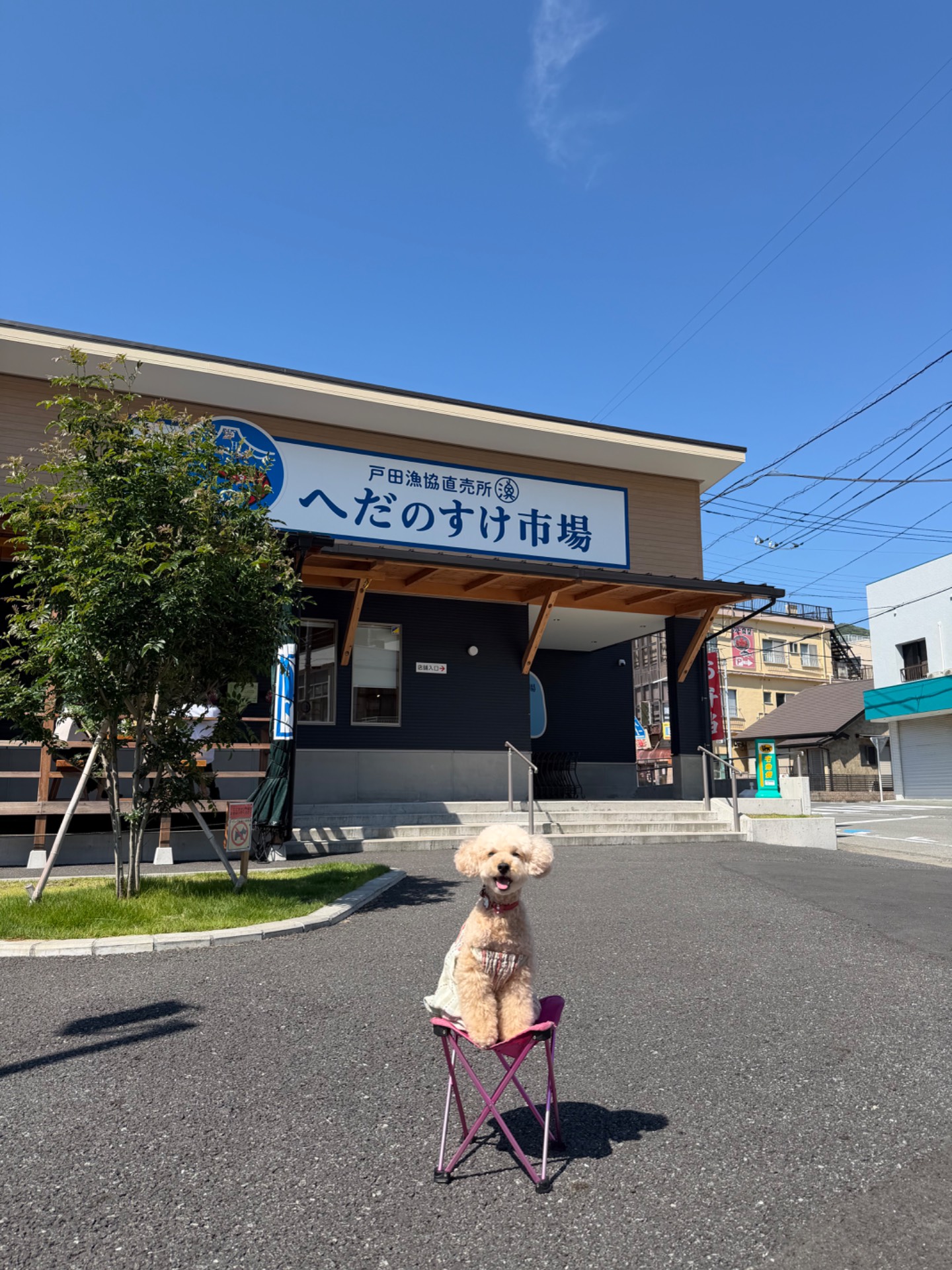 その他の一覧へ