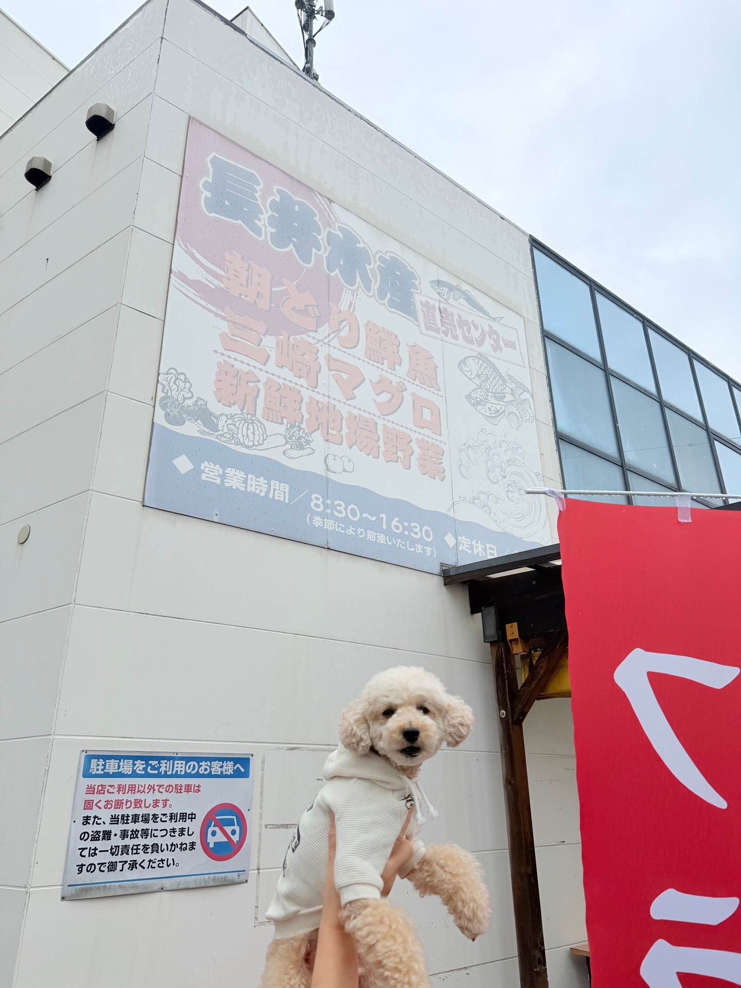 長井水産（市場）
