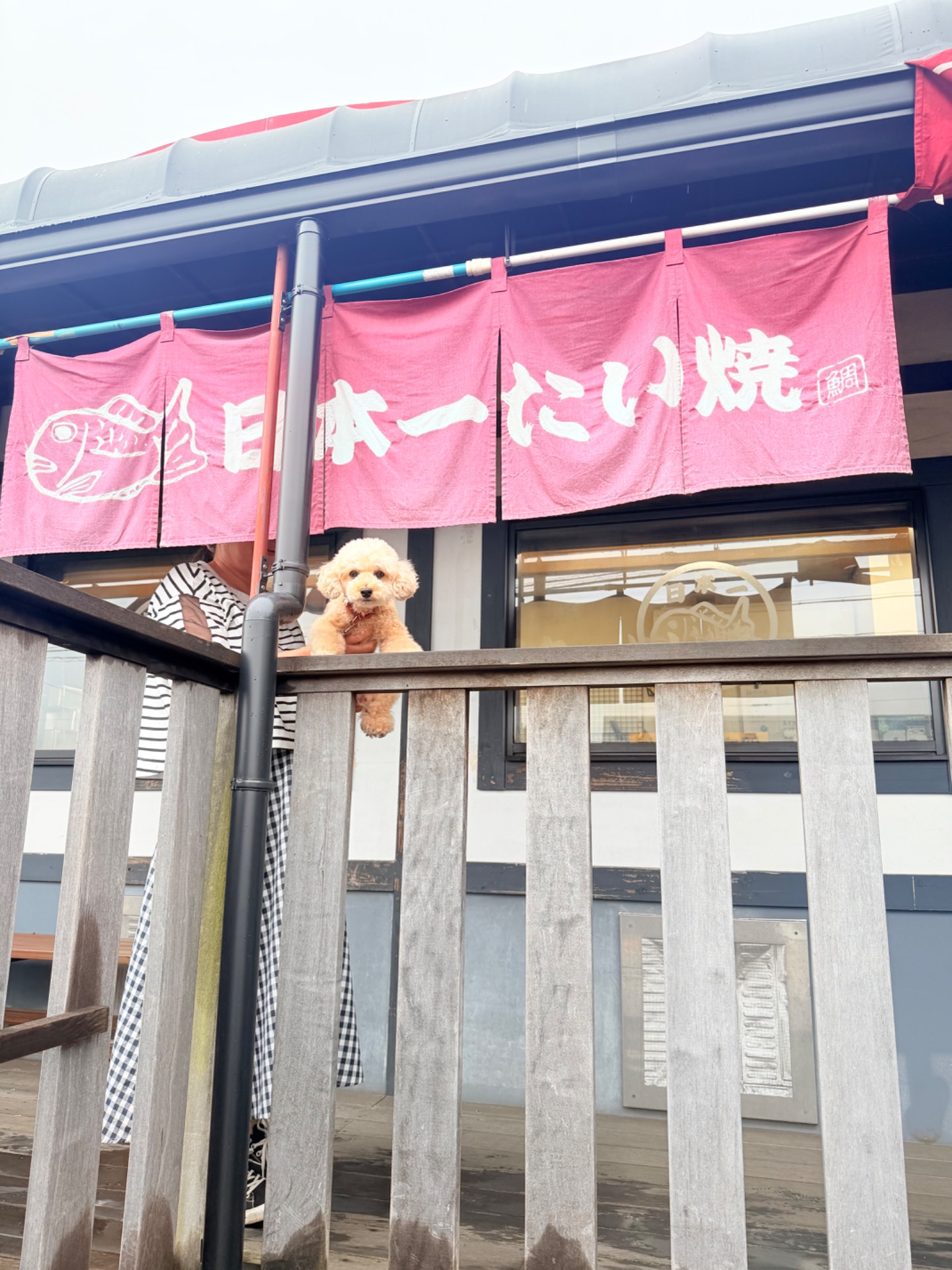 日本一たい焼き