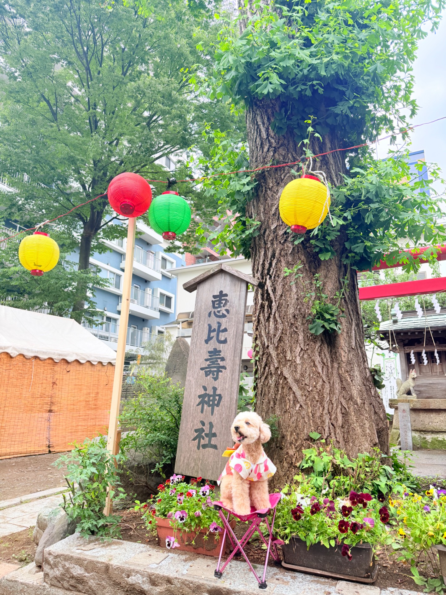恵比寿神社