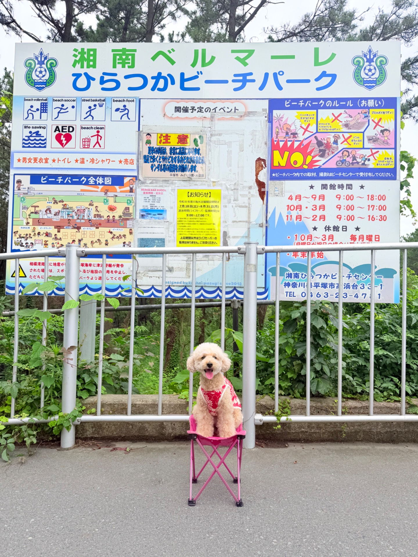 湘南ベルマーレひらつかビーチパーク