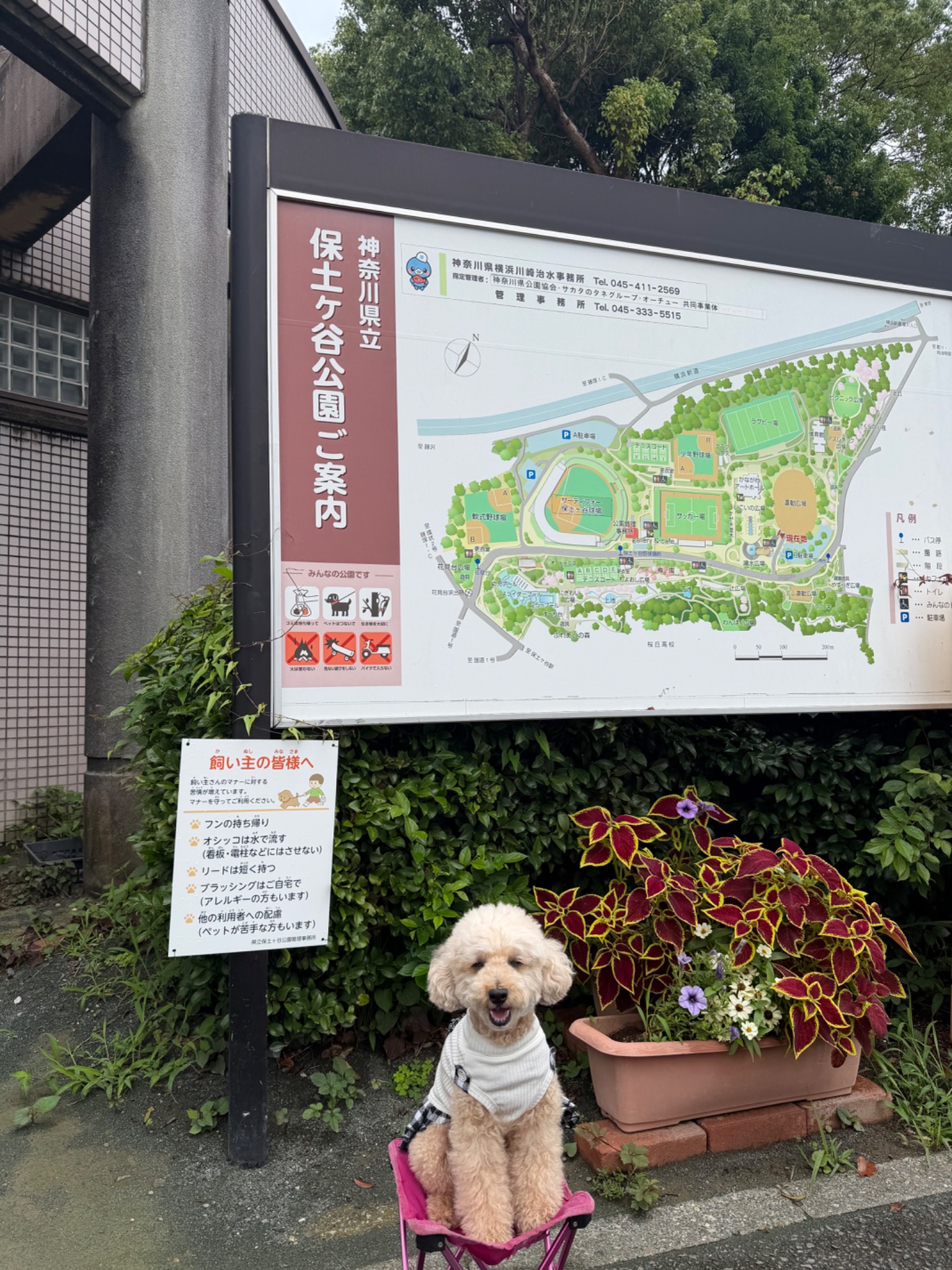 保土ヶ谷公園