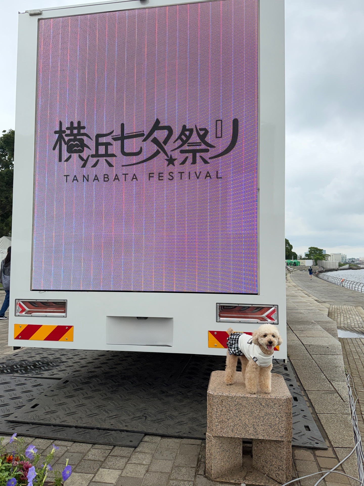 横浜七夕祭り（みなとみらい）