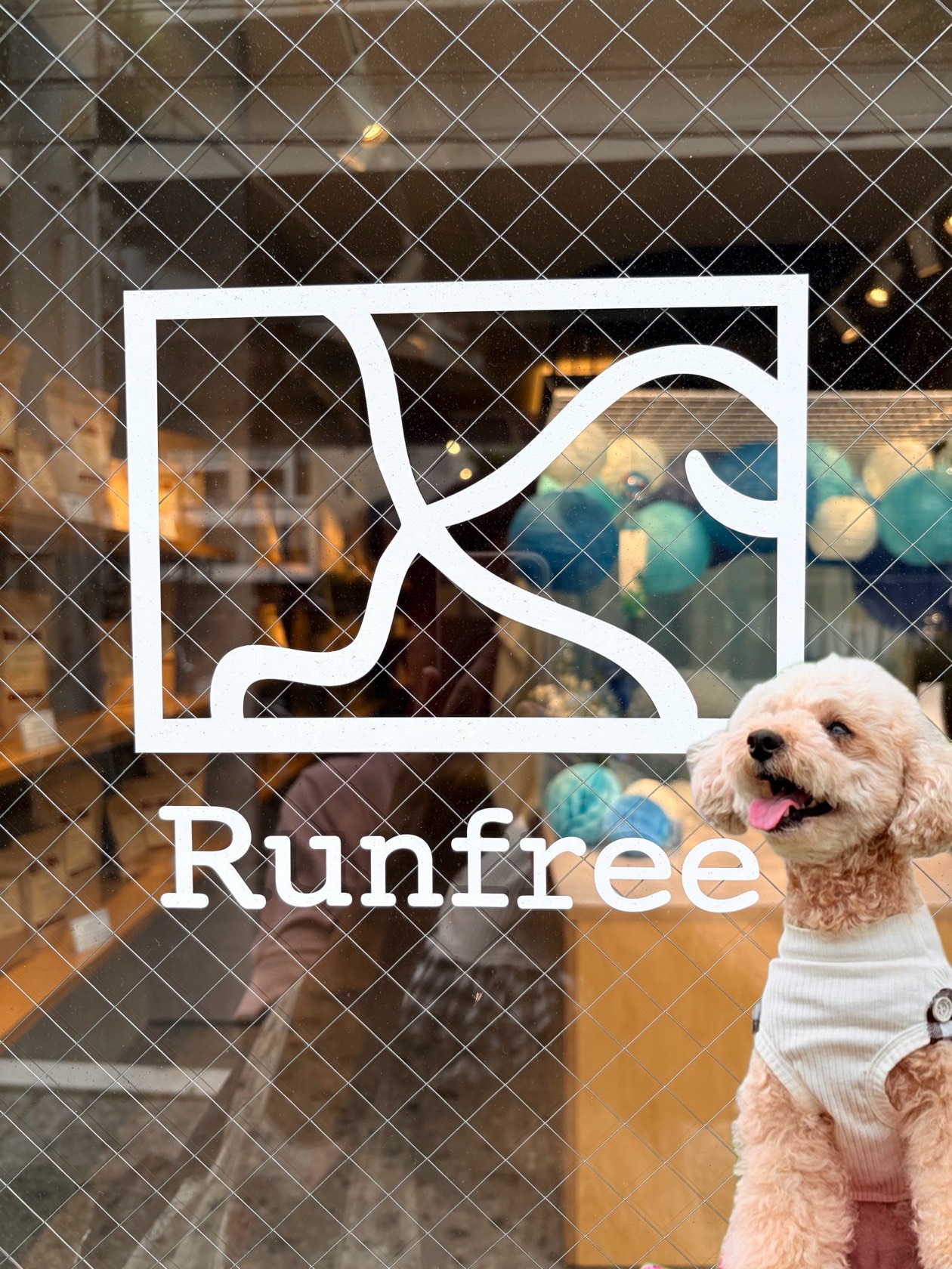 Runfree（元町店）