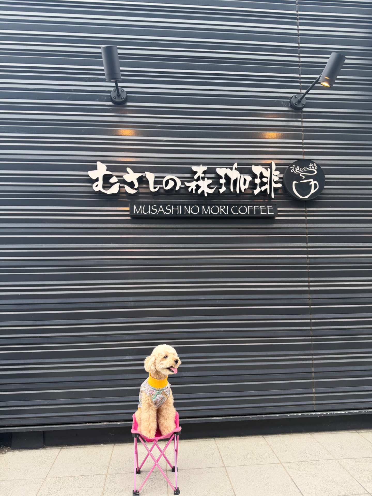むさしの森珈琲
