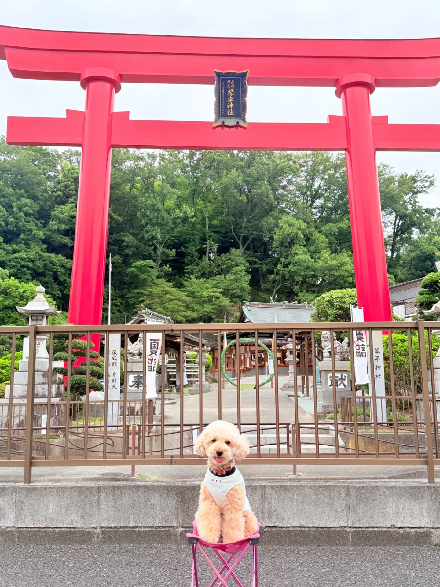 琴平神社
