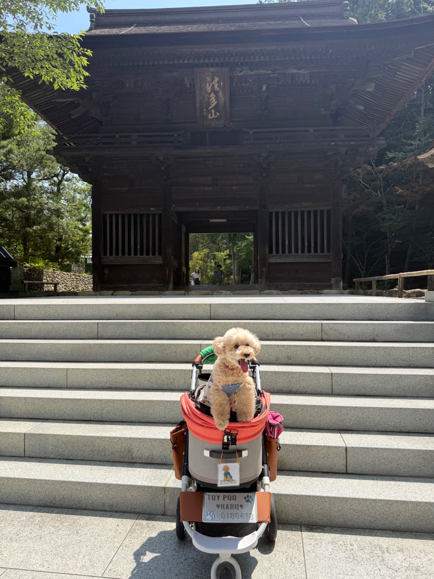 法多山