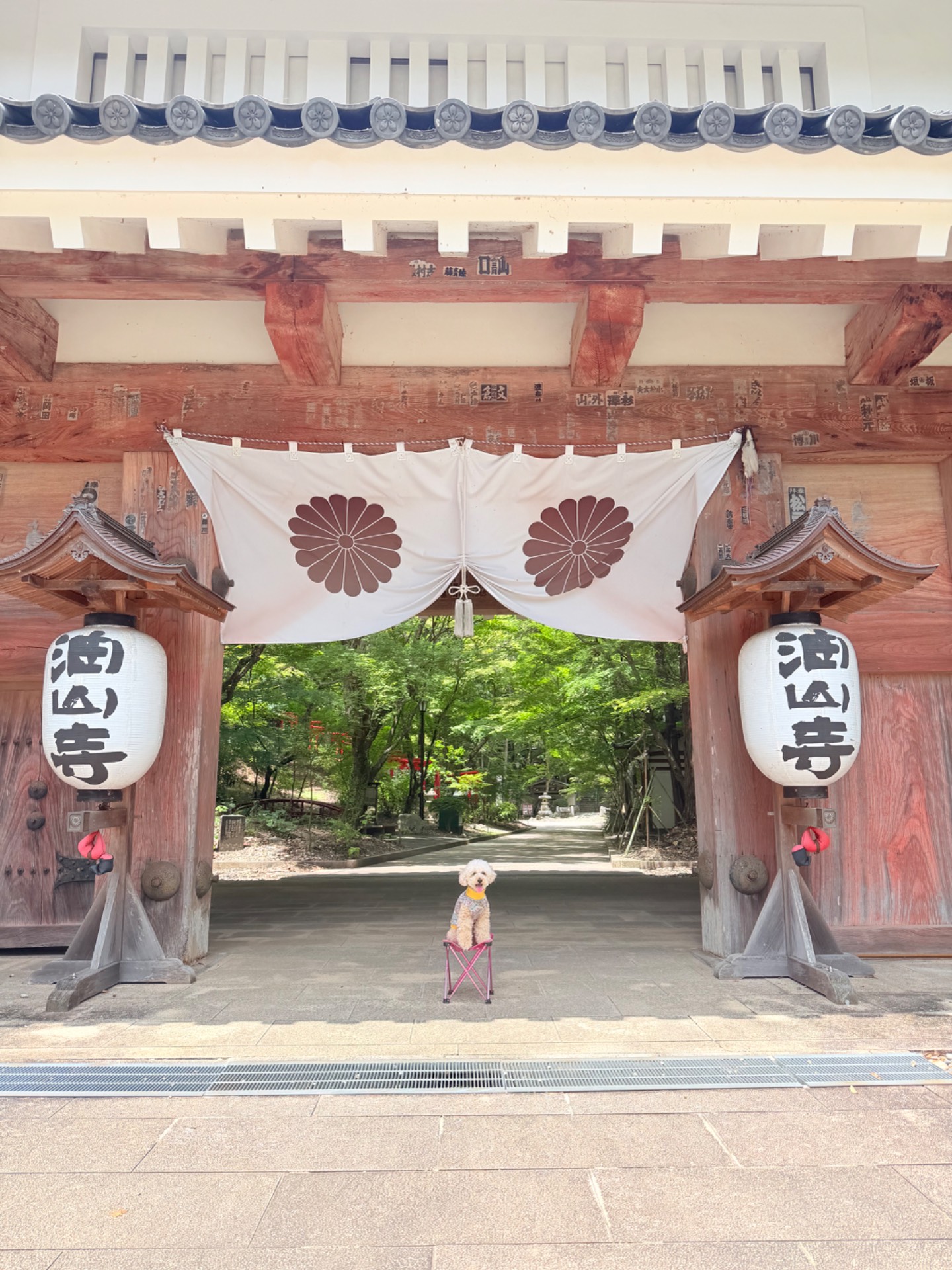 油山寺