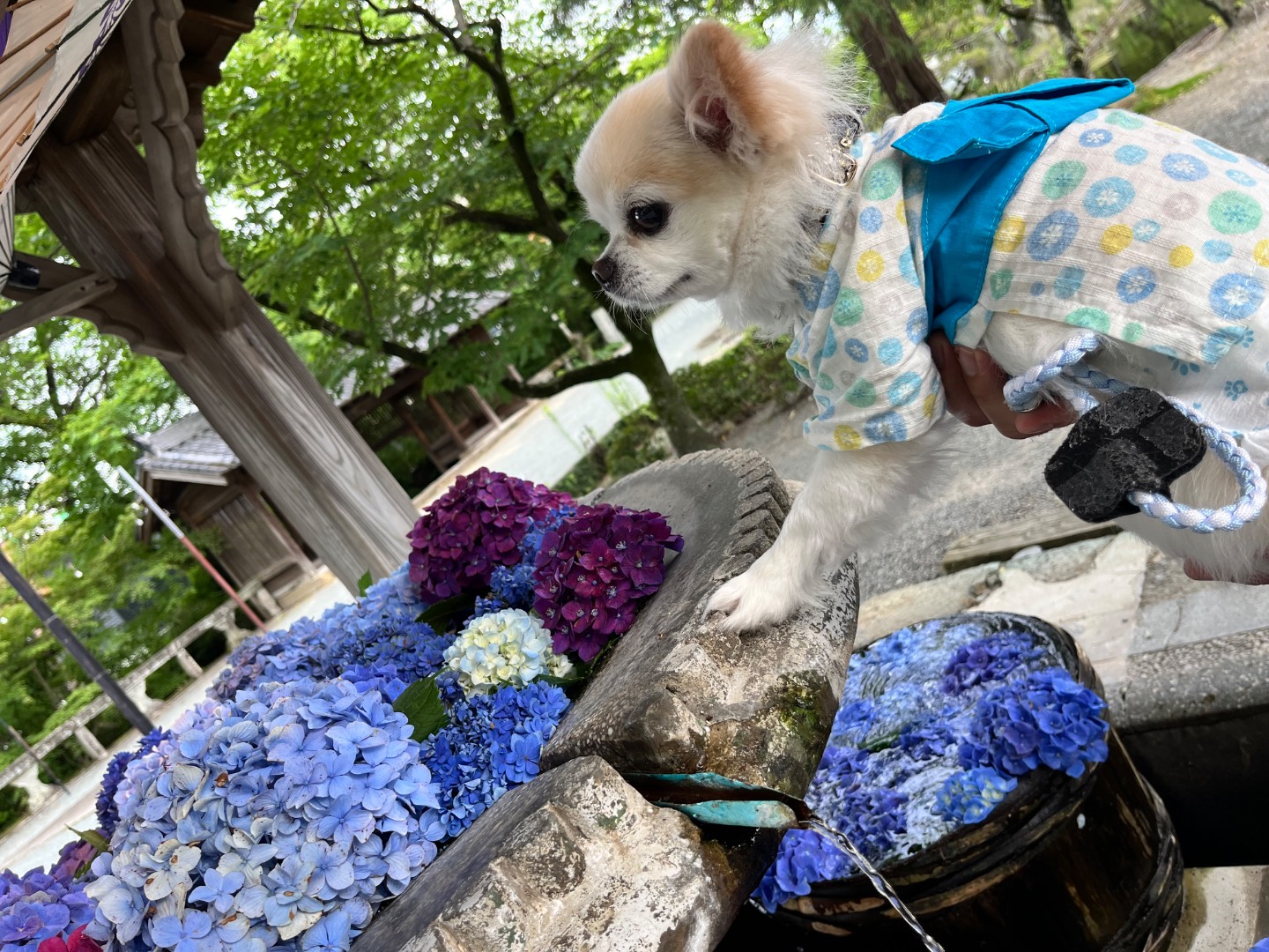 高畑公園、三柱神社