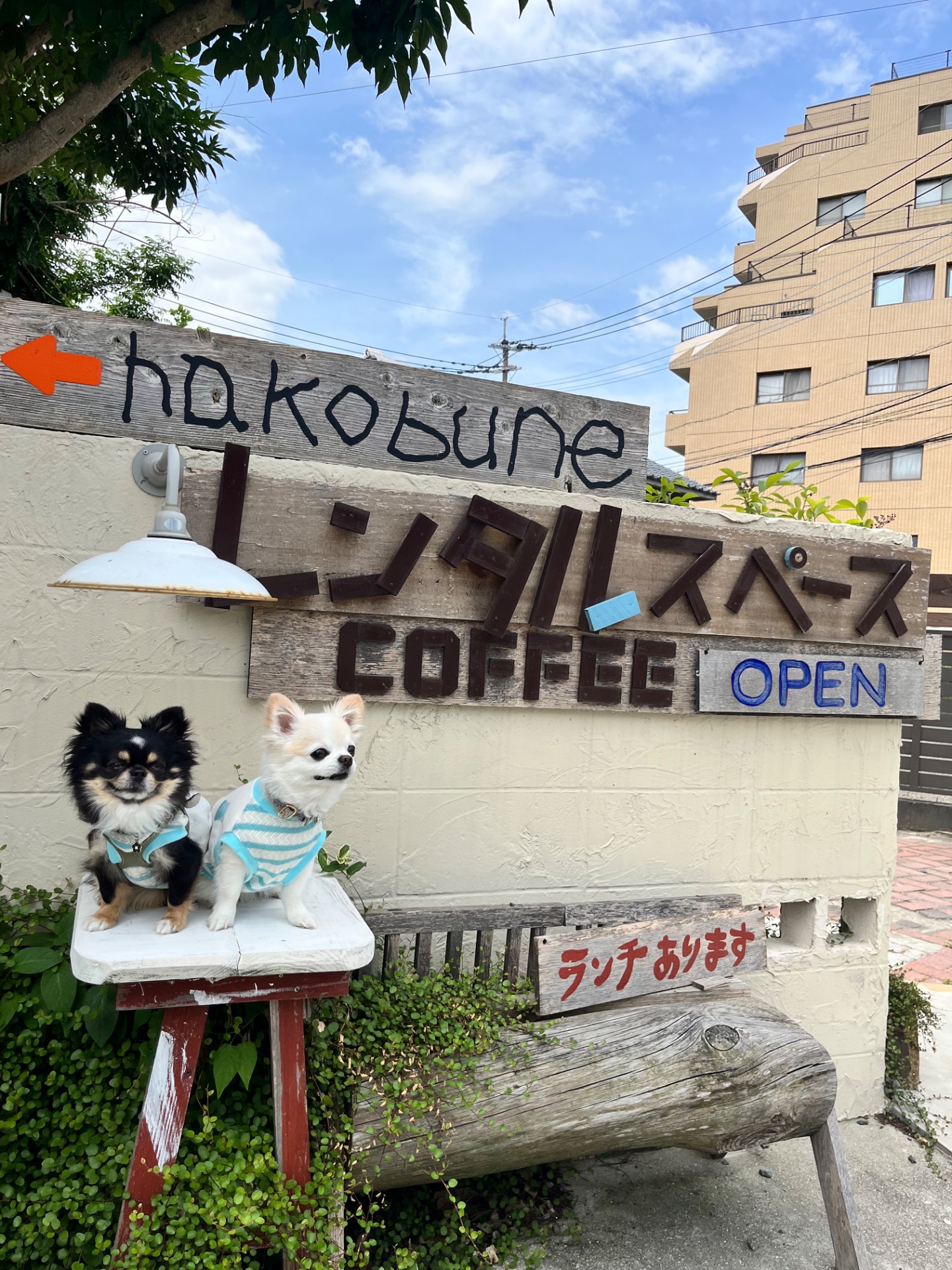 hakobune