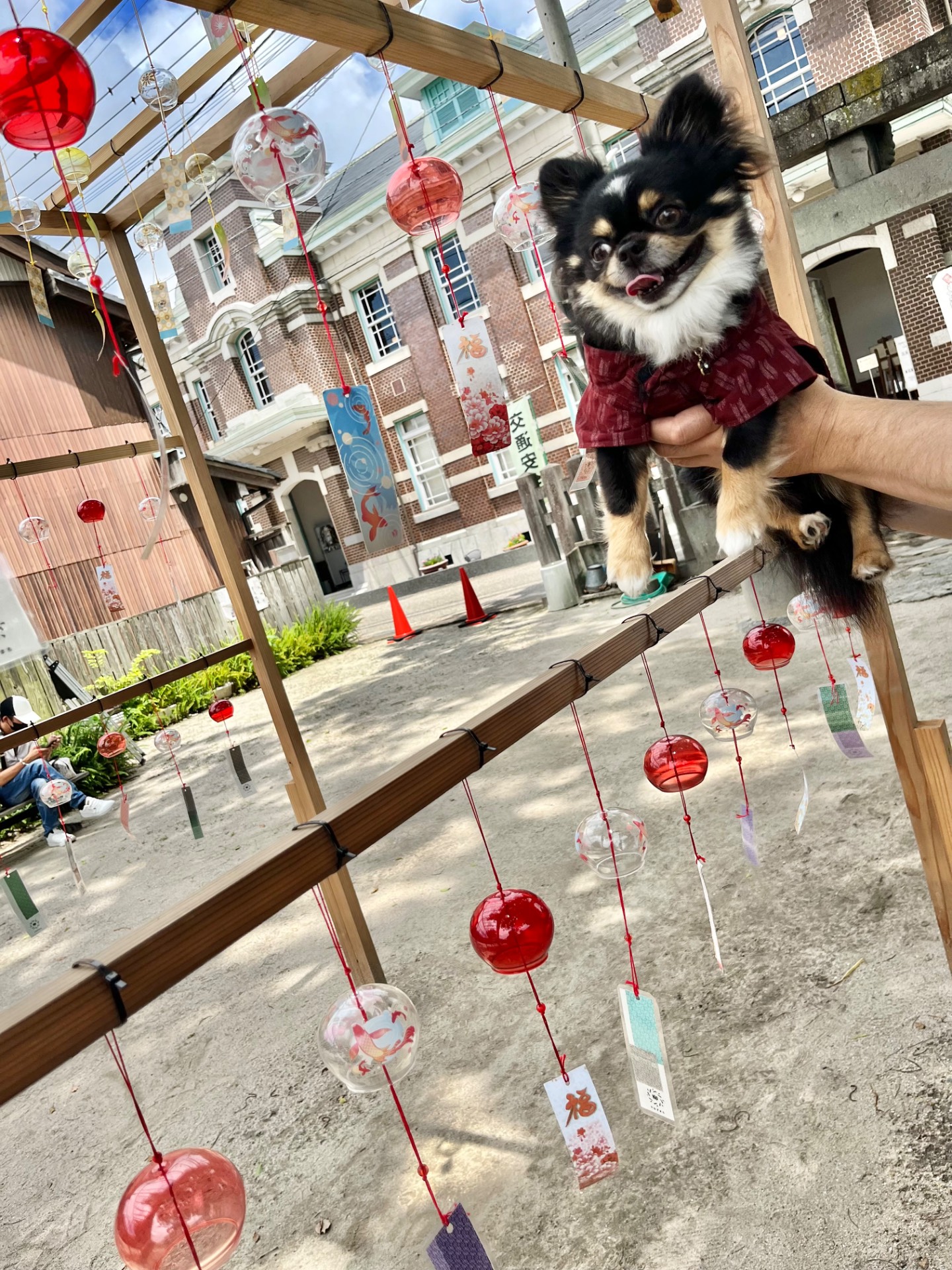 柳町 風鈴装飾   八坂神社
