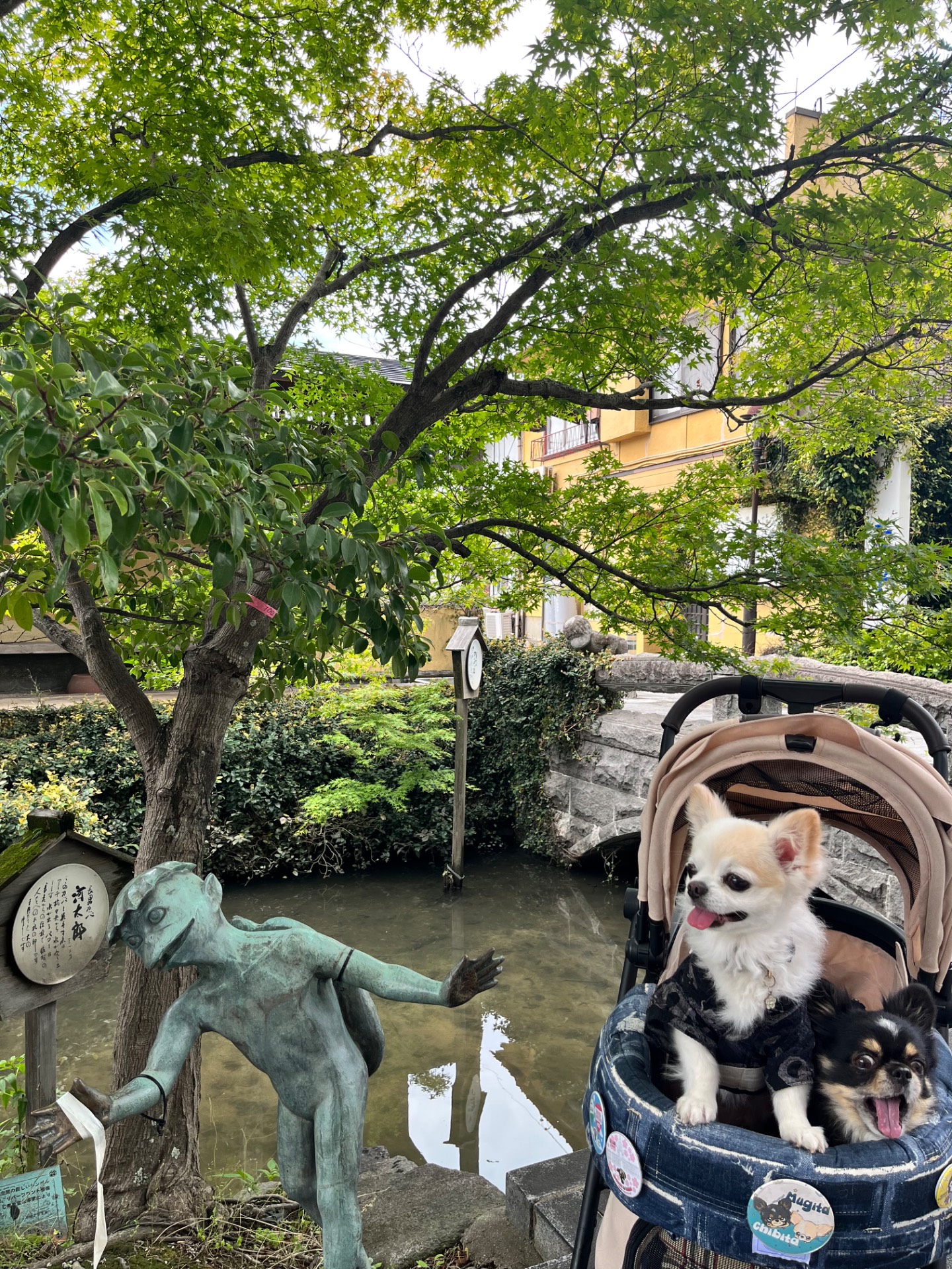 松原川親水公園