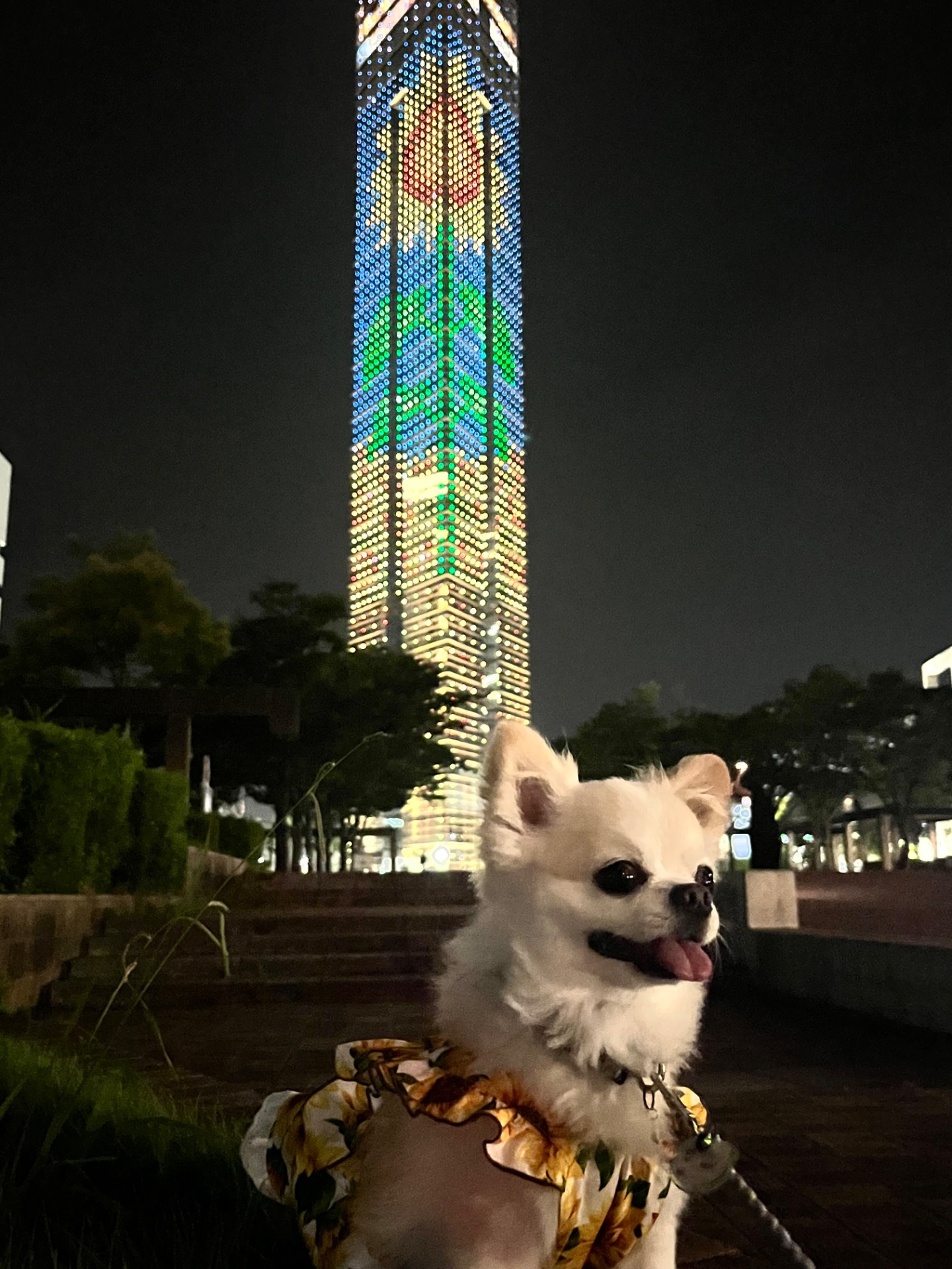 福岡タワー ひまわりVer.